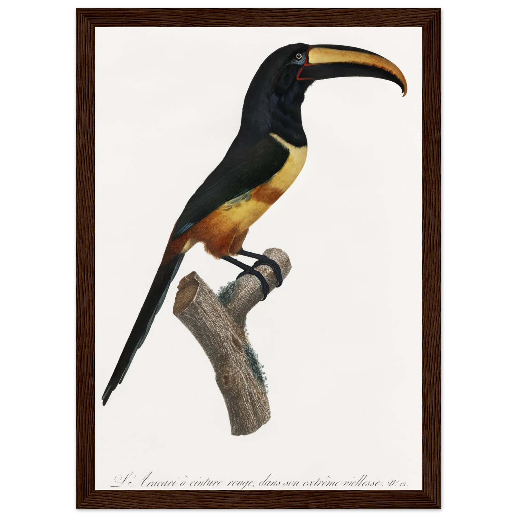 4f6dfc89-1c43-402c-8f3b-24d8f5d4e47f