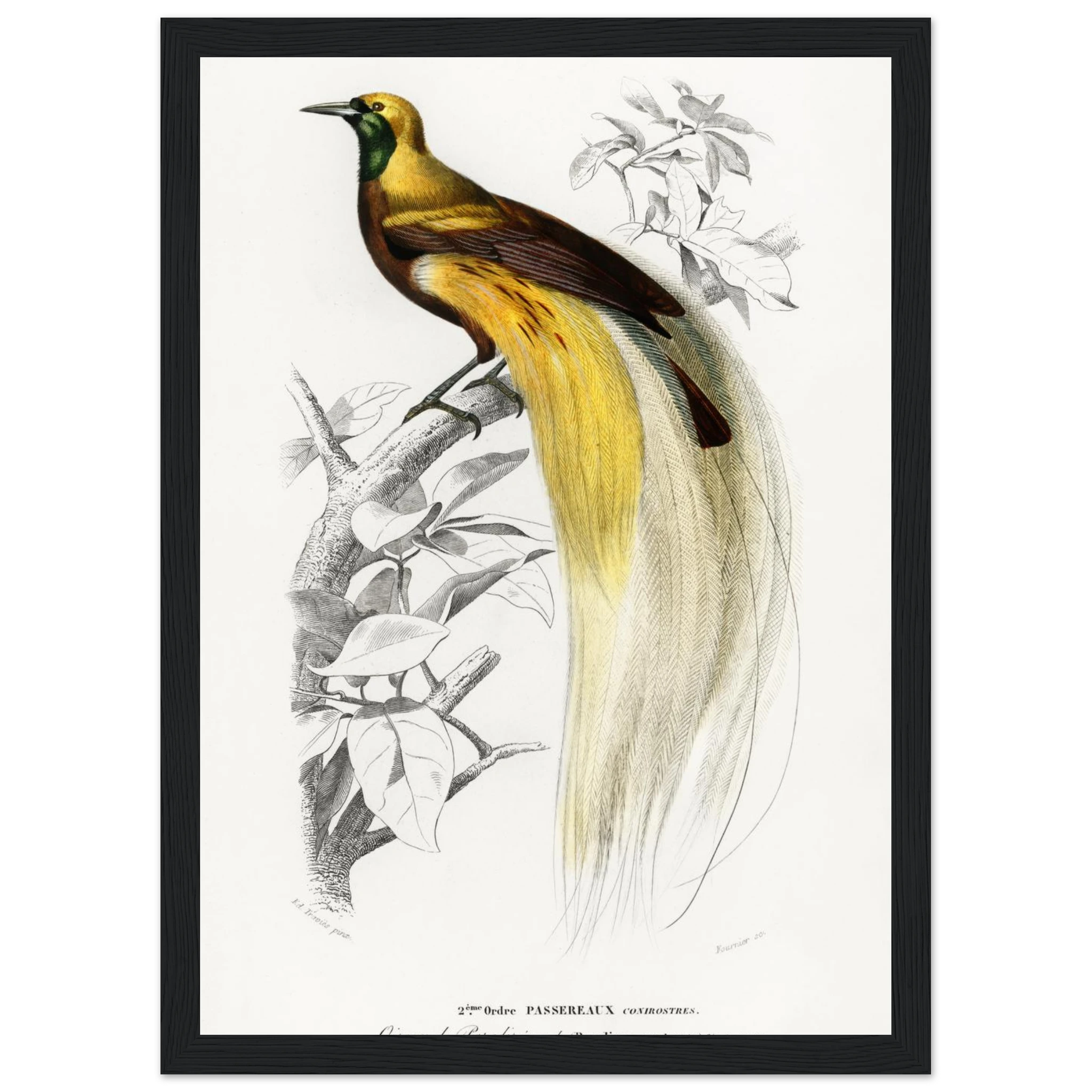 4f9d7b52-6516-4200-b862-26f591445ba6