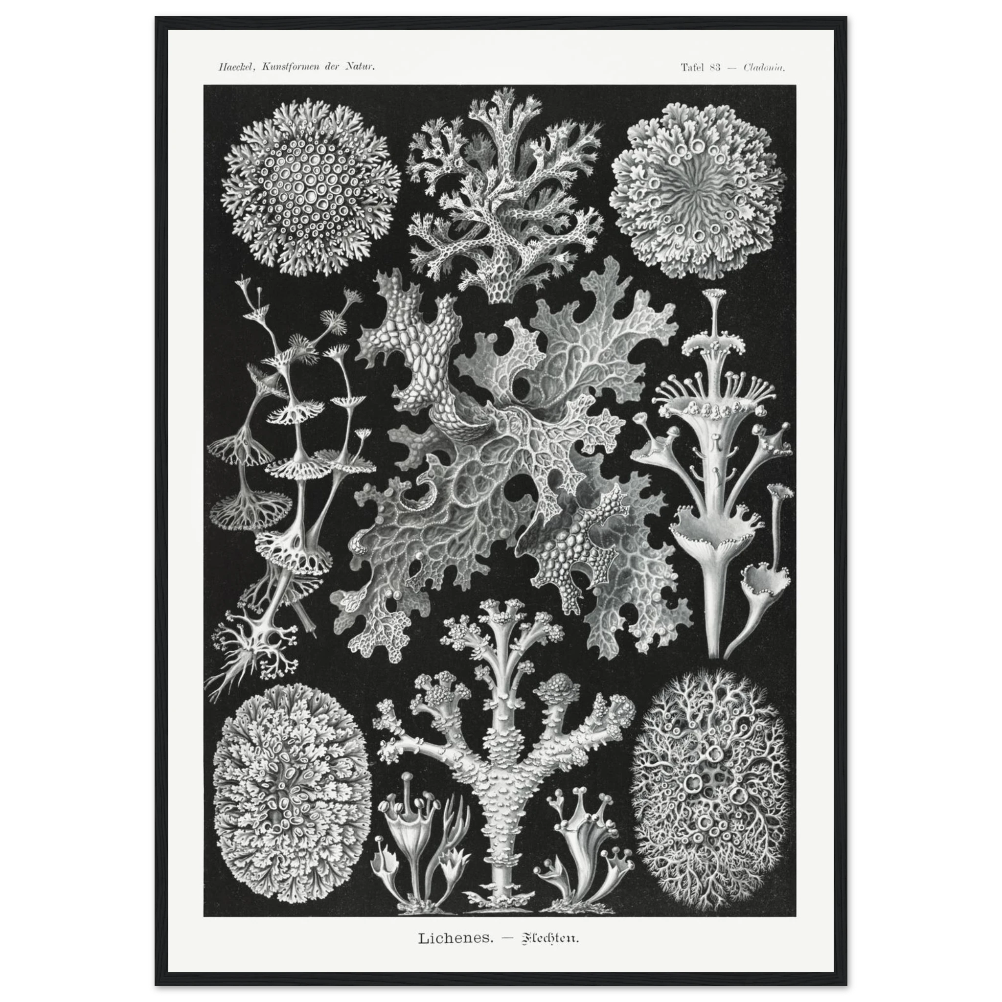 4fbcc4ac-1b9c-413a-80ff-5aeb857fe191