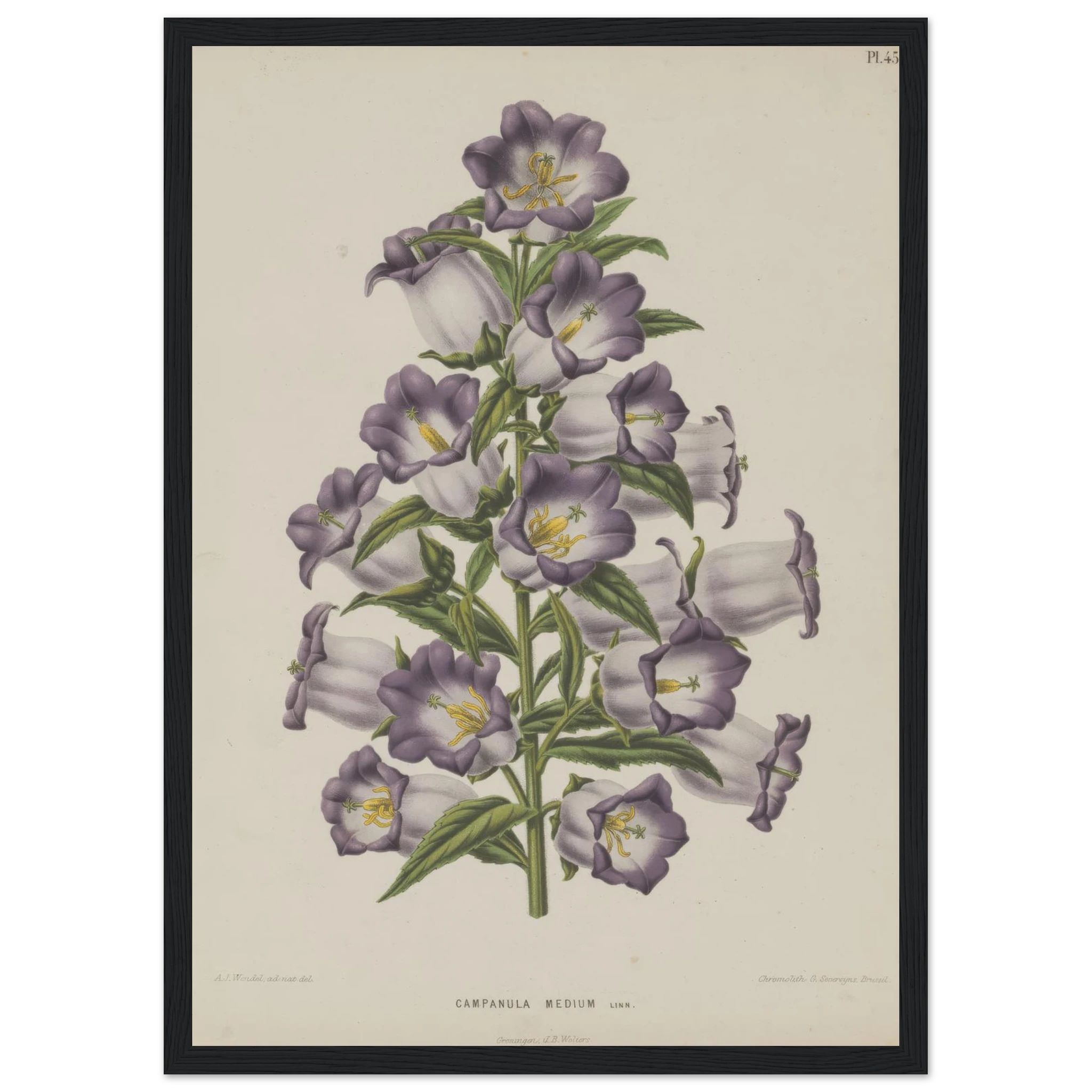 4fda9d2e-b359-424a-88d9-64c9b3fdee38