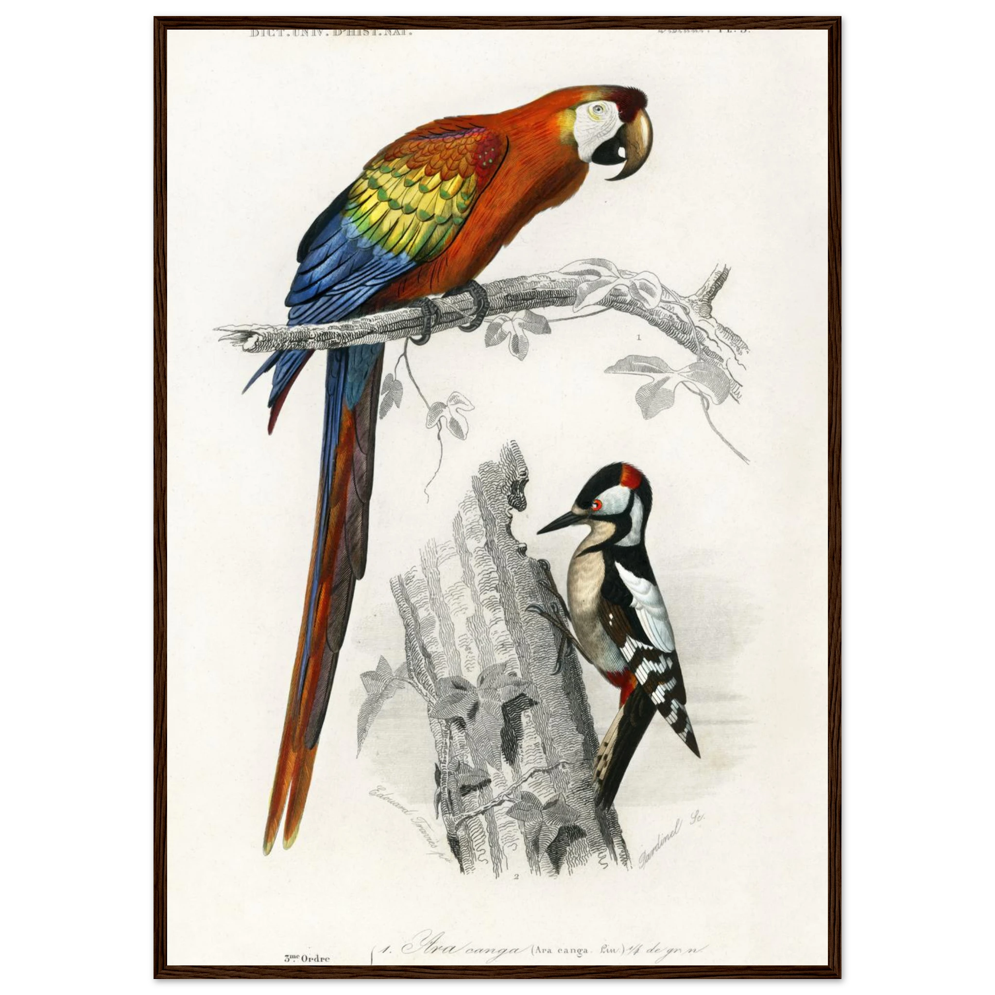 501f8b21-3e8d-4b19-a338-50f0b8f702c2