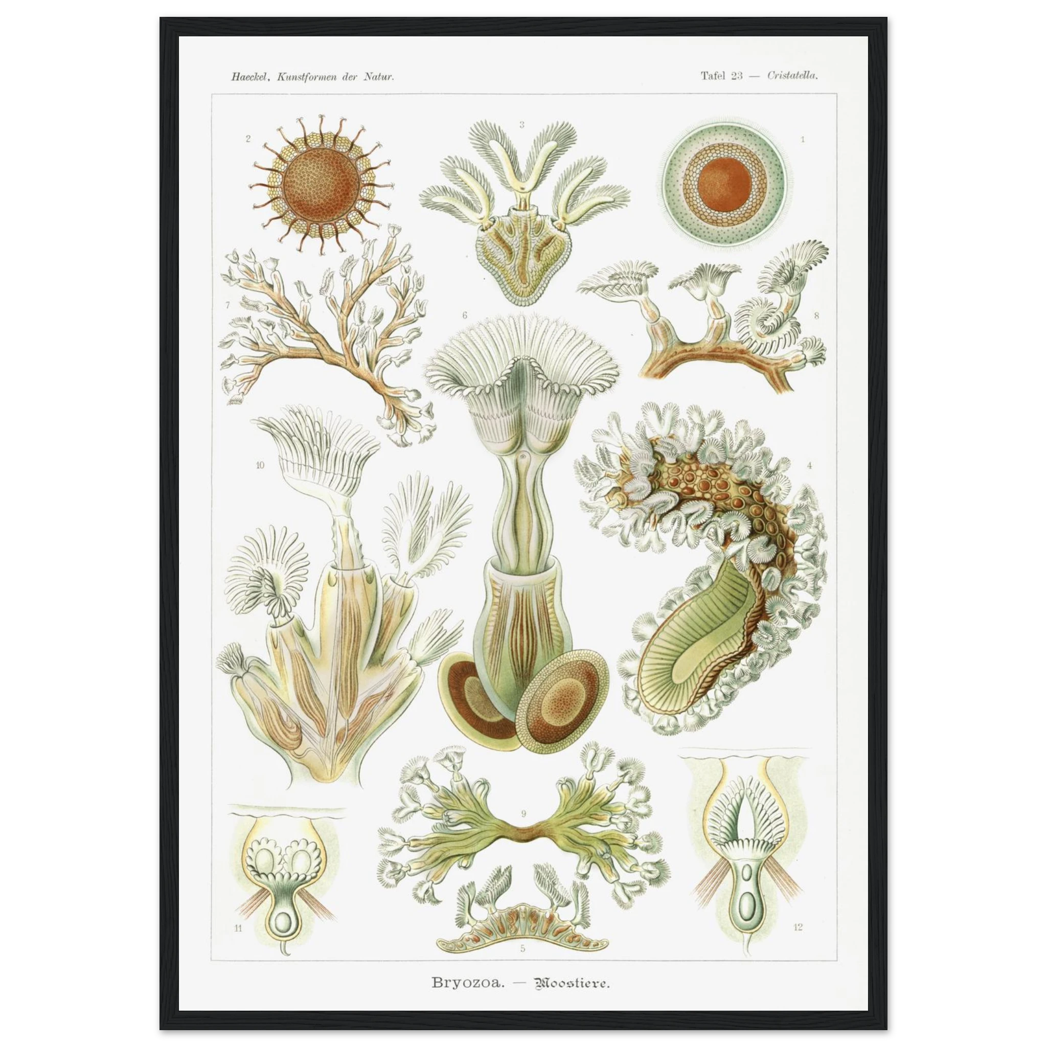 502af3e4-f245-4a7f-9ff9-e91601695939