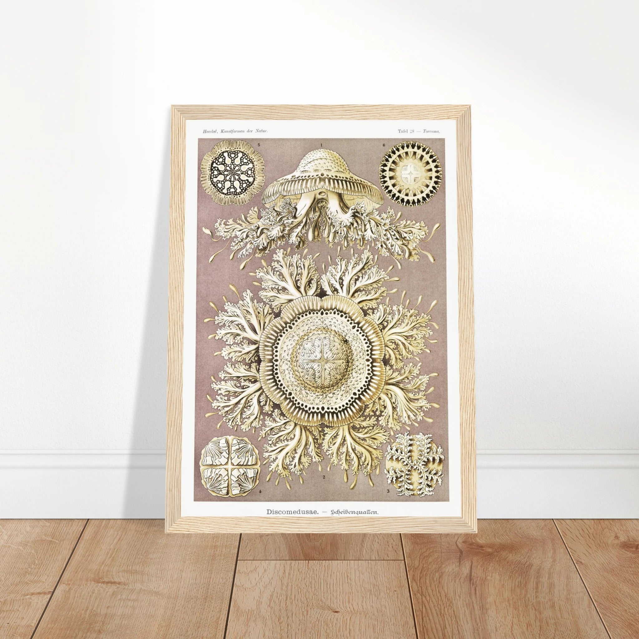 502e02a3-4236-4d25-baba-dcd54a345bc4