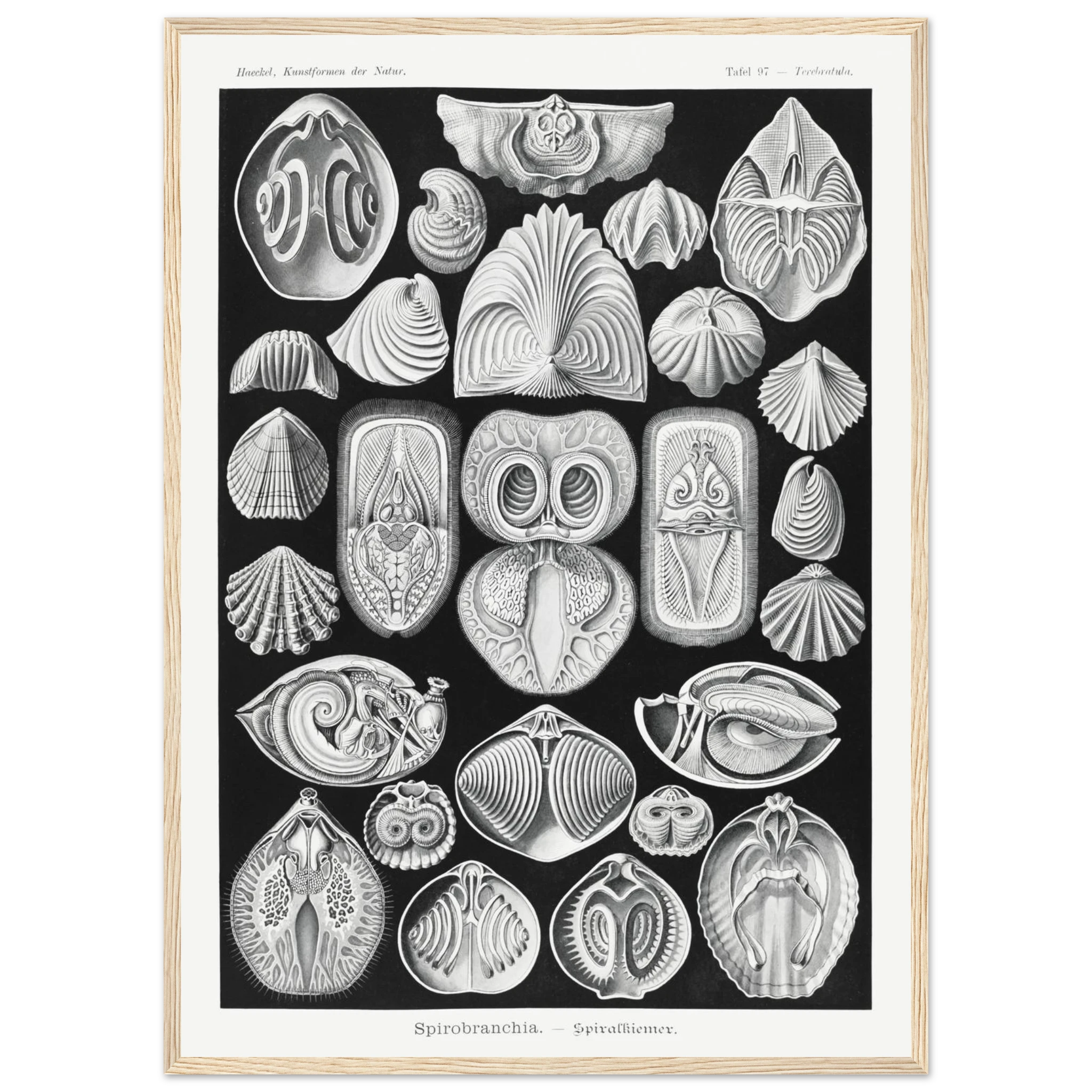 5034838e-f226-471e-b031-6749fcae3c5a