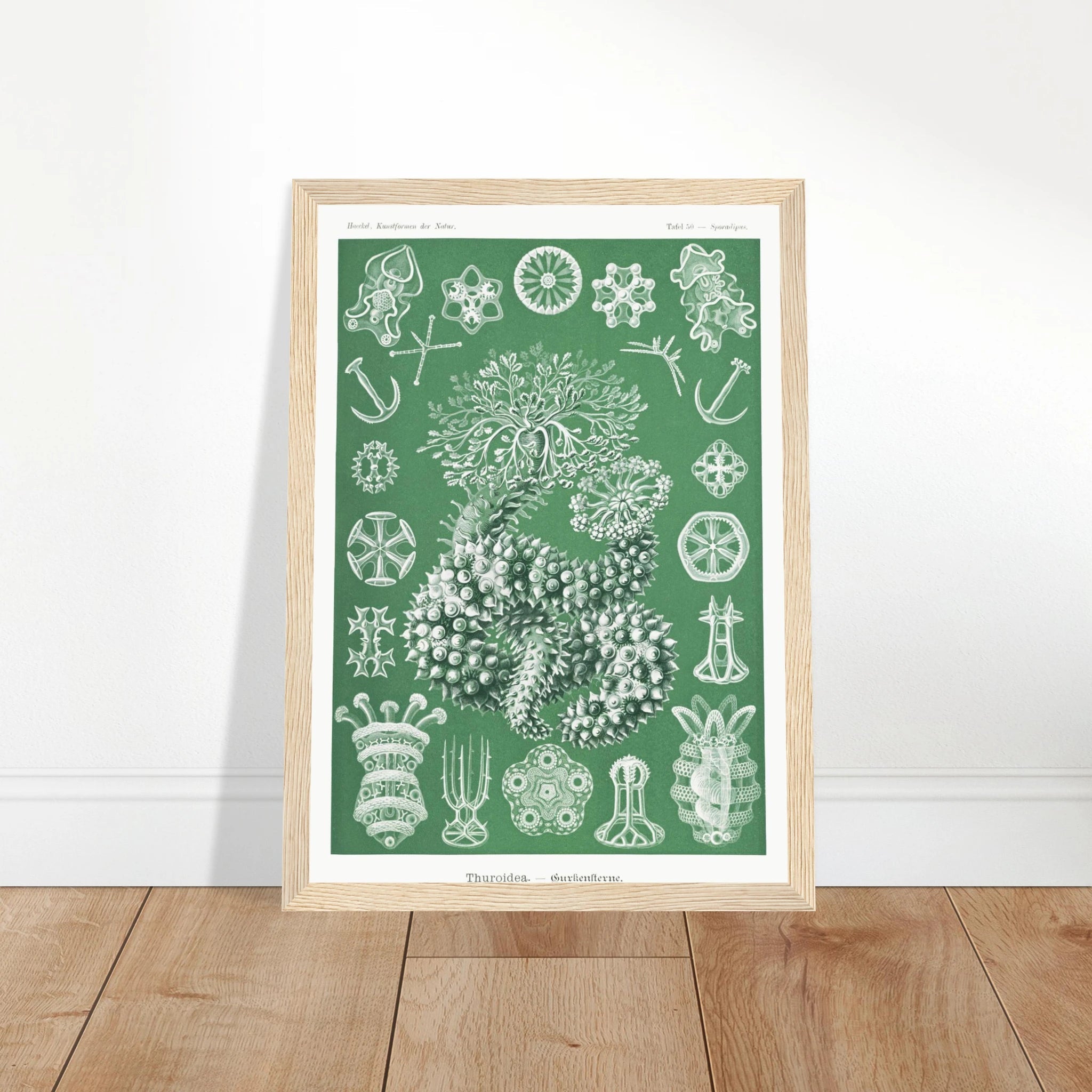 5085ac8b-70ad-49bf-b431-b69fb267e3a3