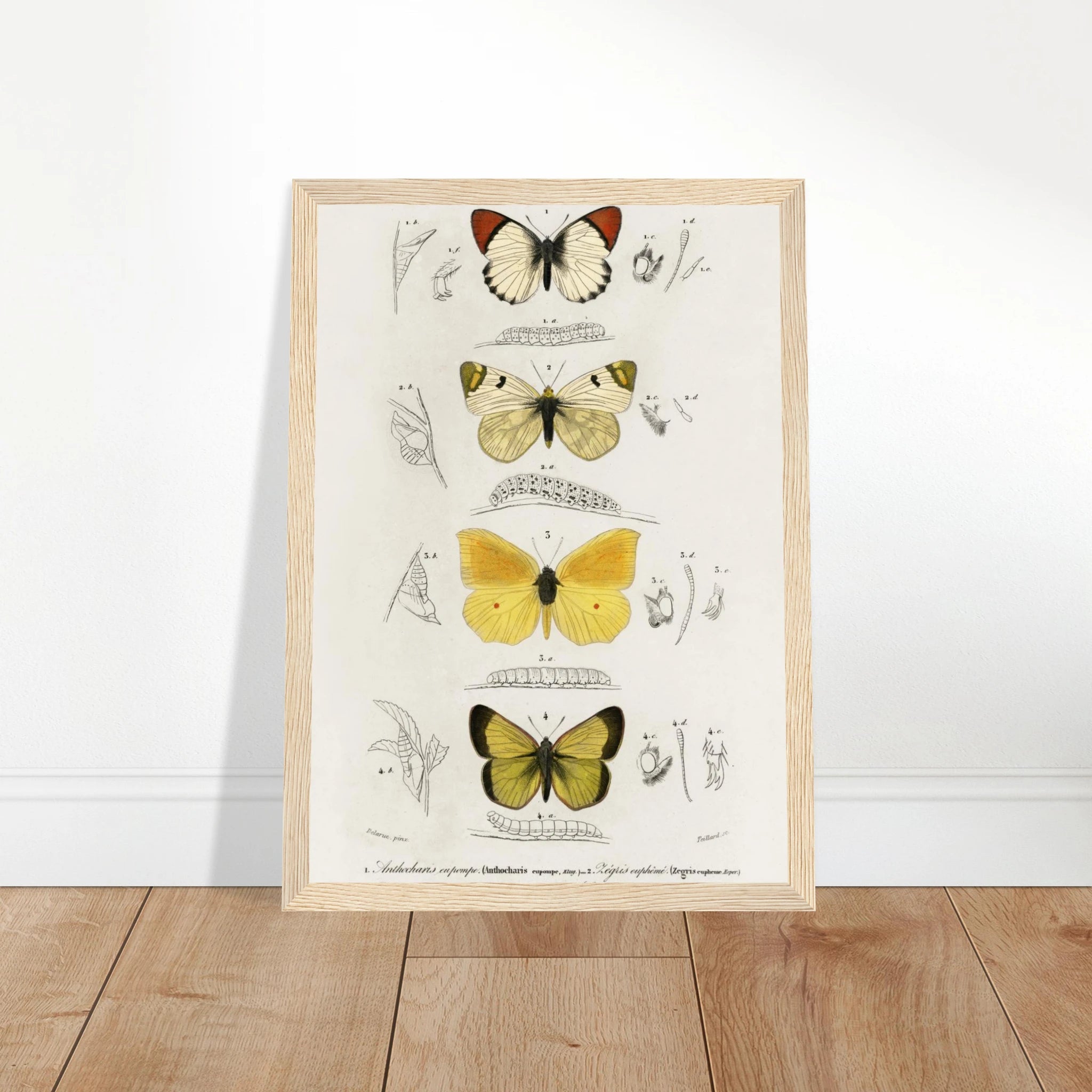 50c2503c-a38b-4910-b1fe-6b4f96363623