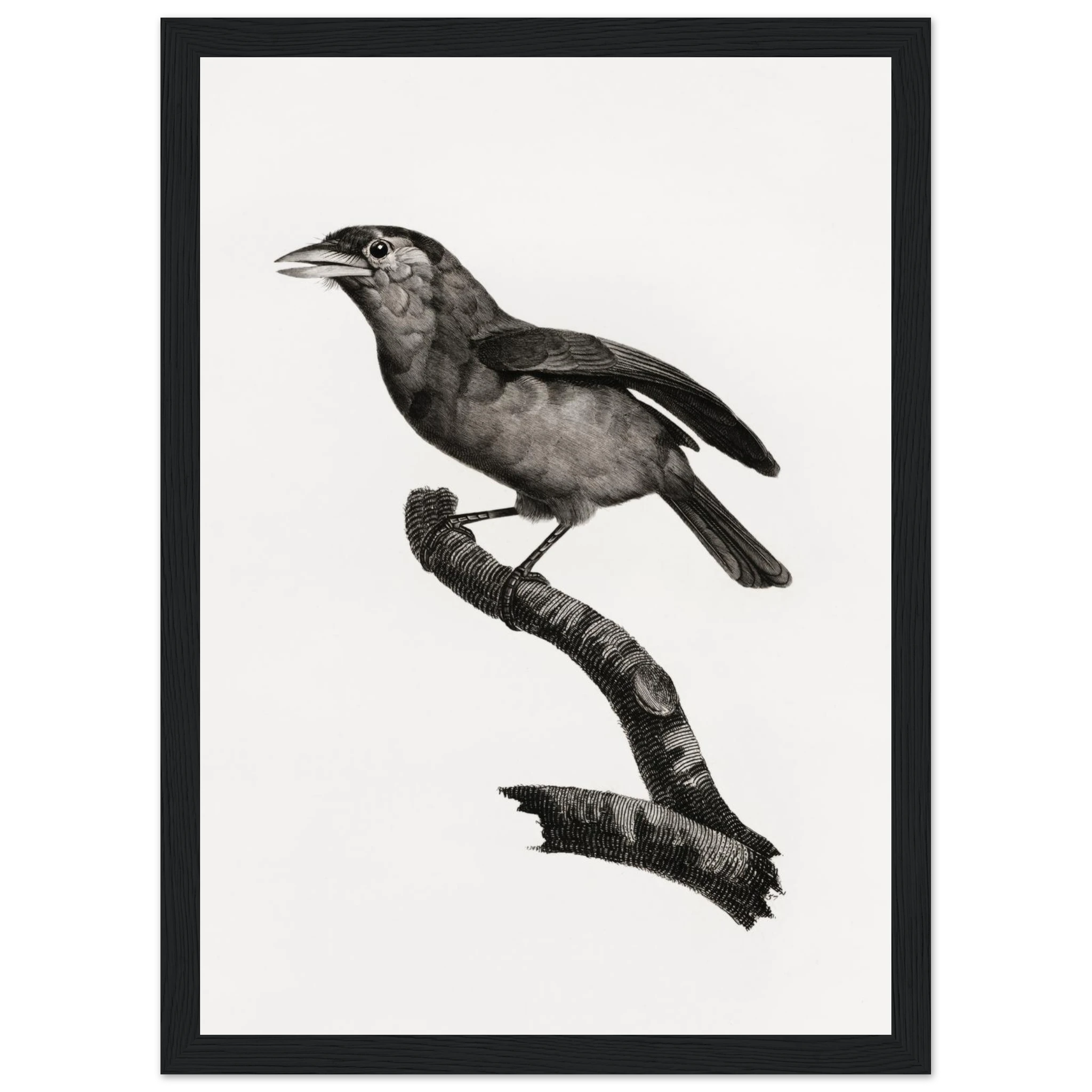 50cf6551-20f1-456f-8e7c-ce65bb948975