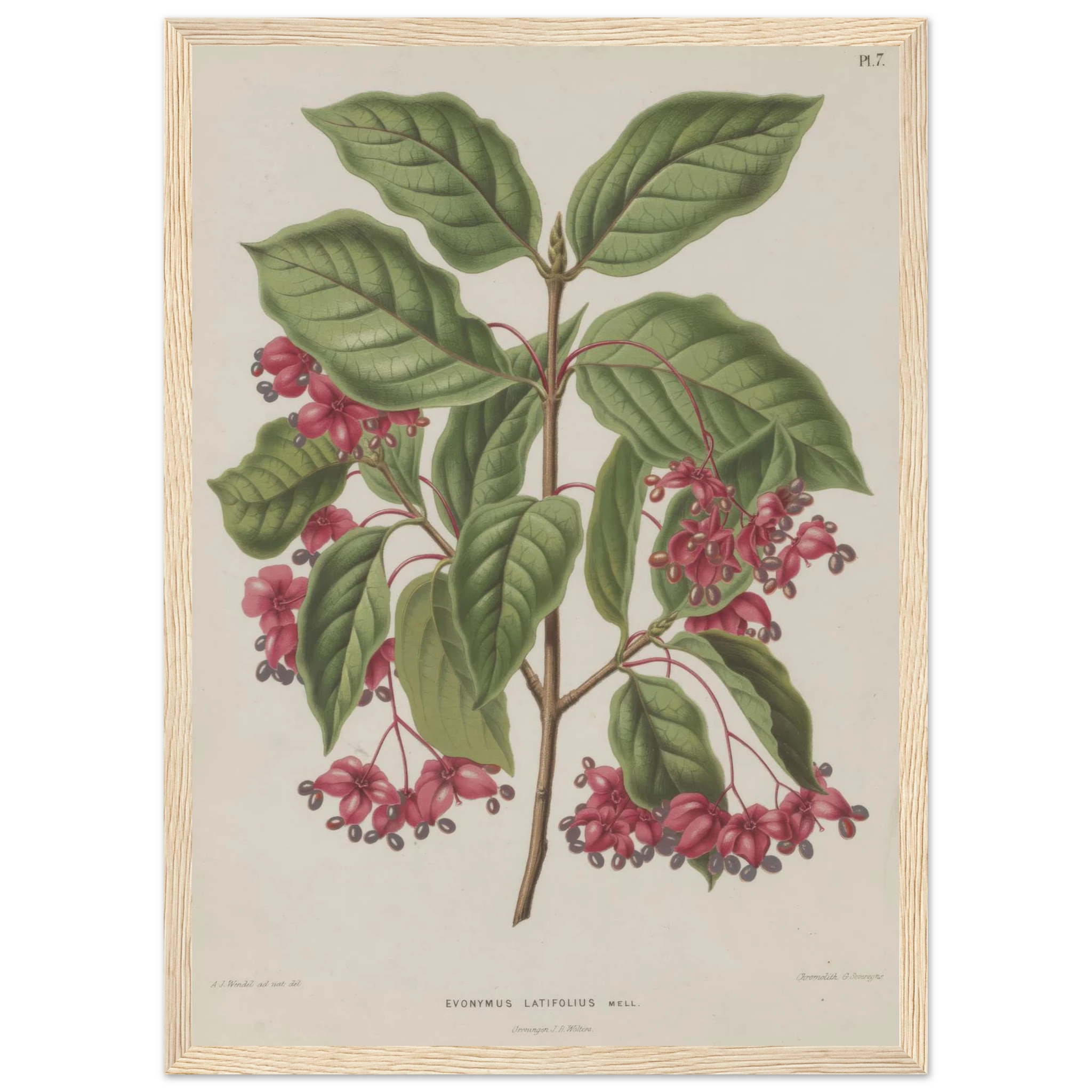 50d80db9-4801-45c3-b4b5-b7509d888d8d