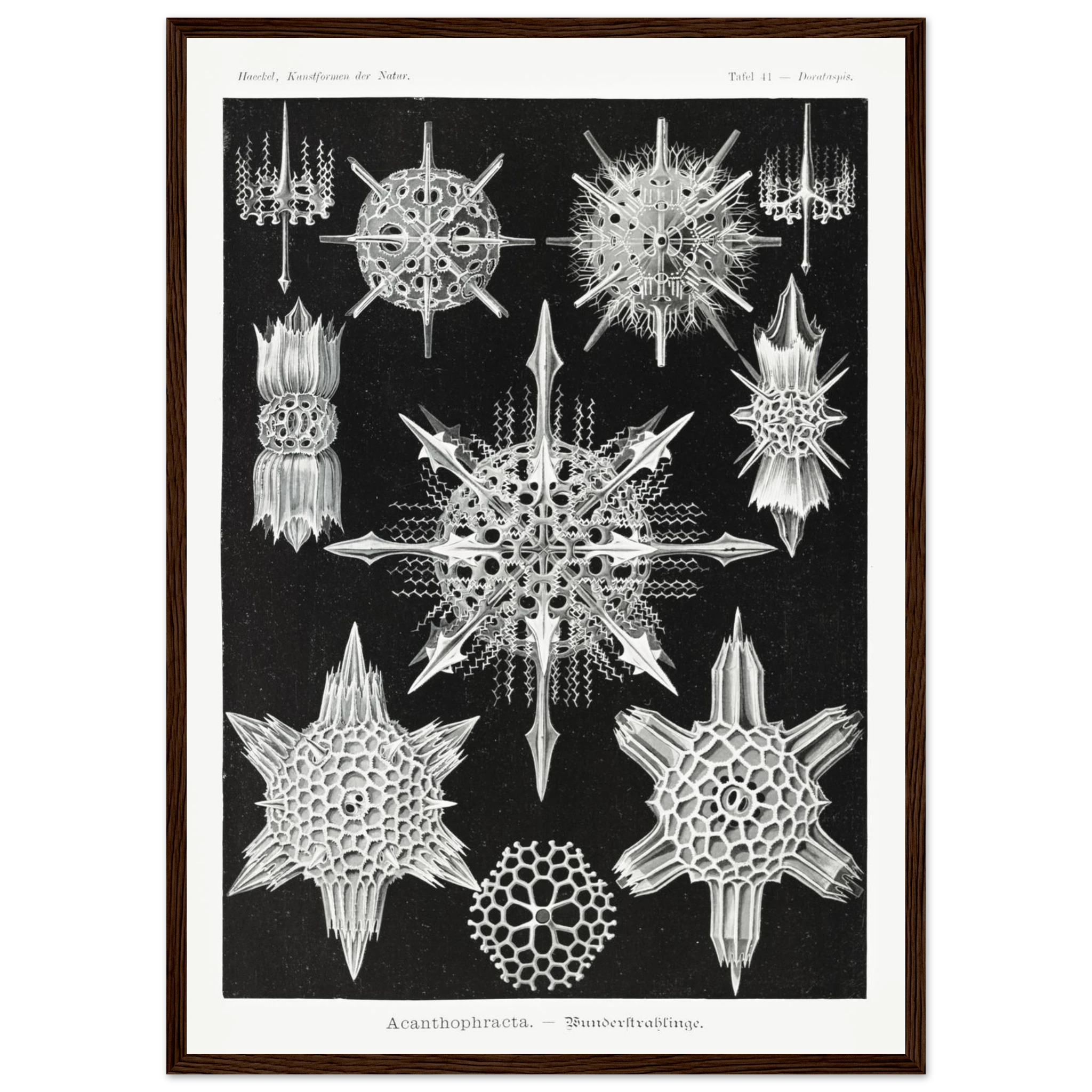 5157fbea-10f0-4d17-b323-78e05b735cdc