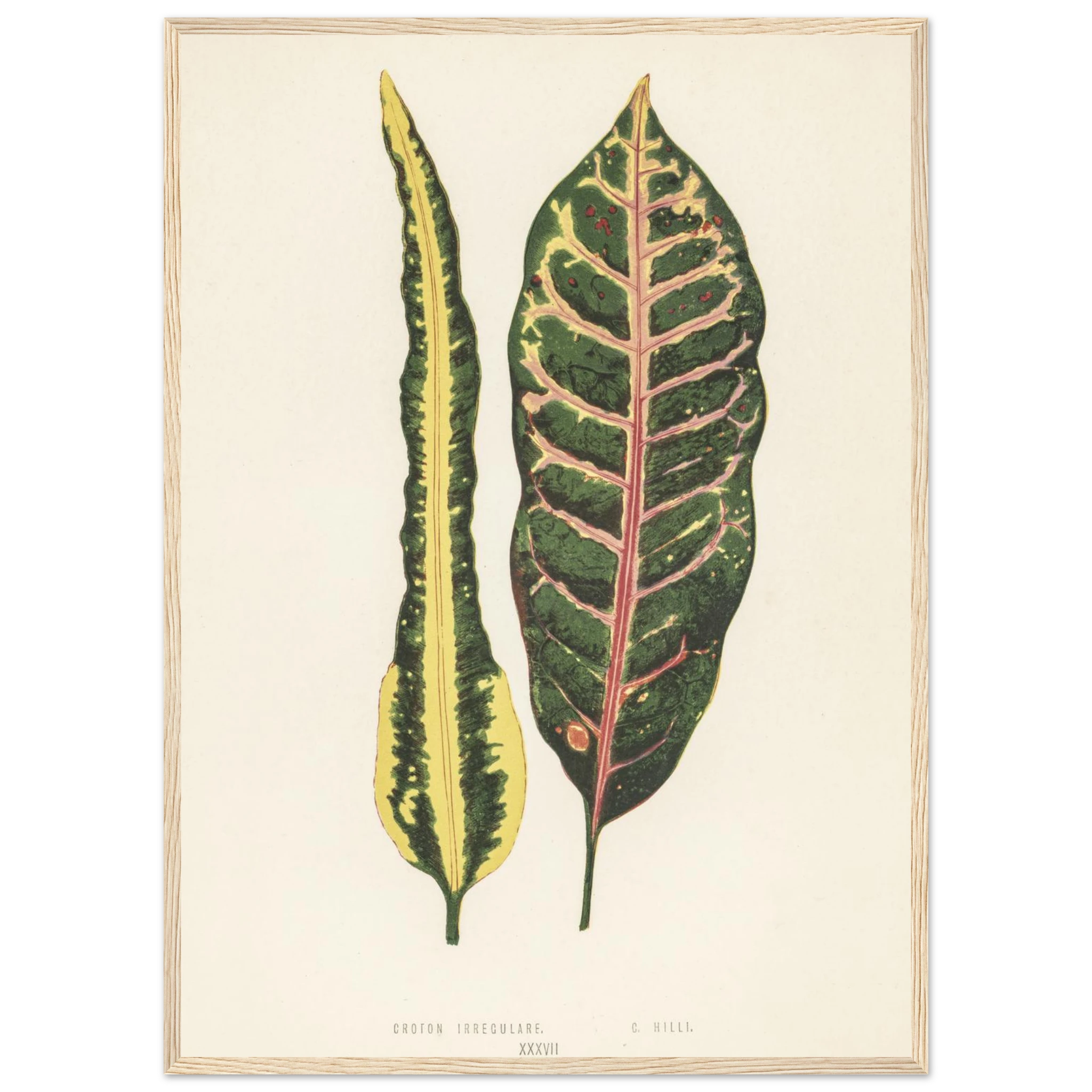 517128f2-668f-4244-9d7f-448df07c93f8