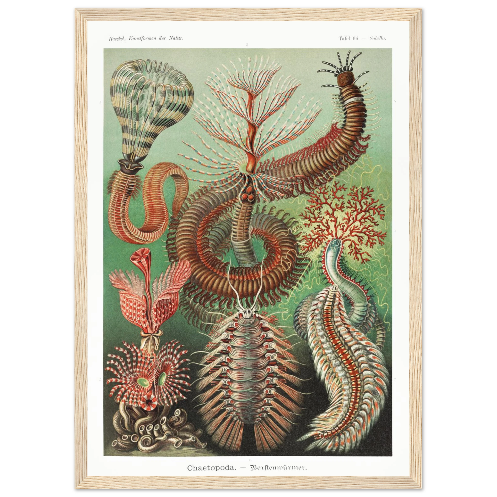 519d6bfa-49c5-47e9-a14d-22b835fe3f39