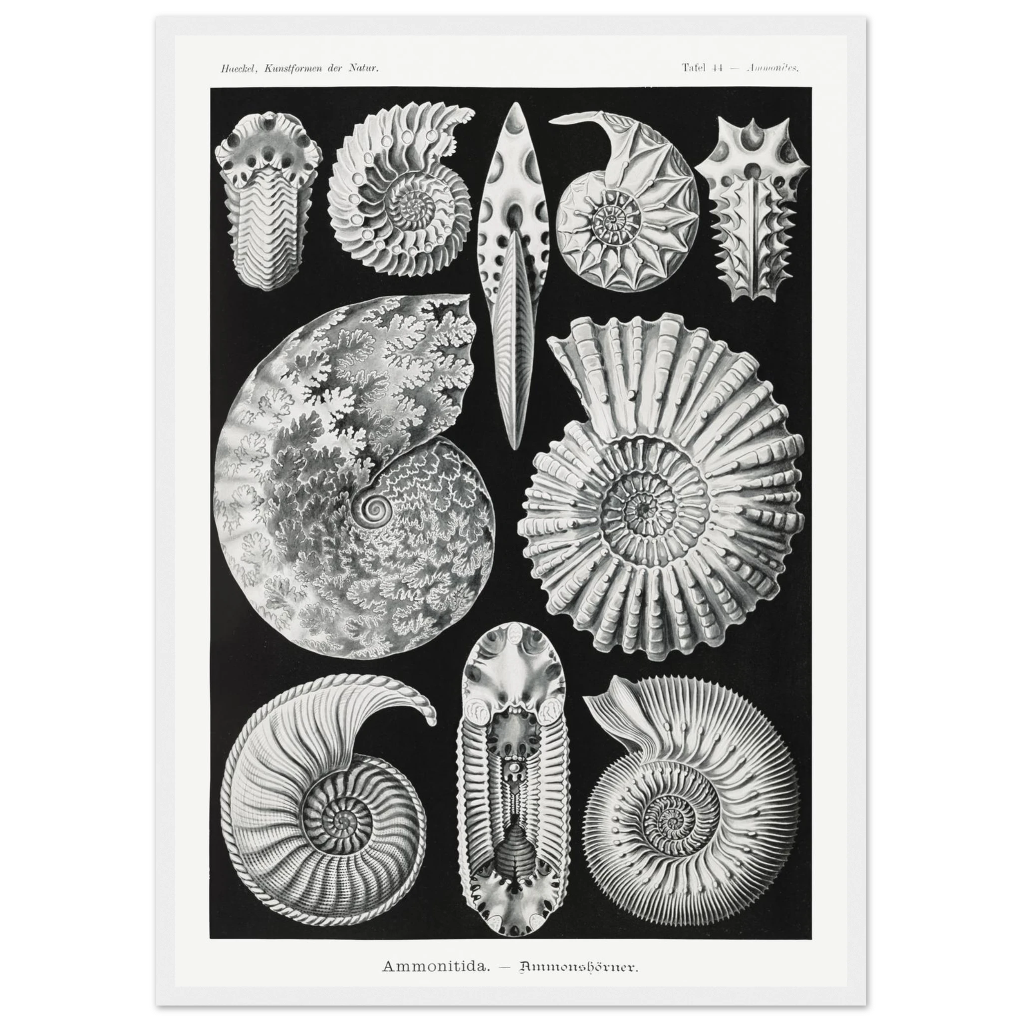 51c03077-a765-443e-a975-7dae4b515c4d