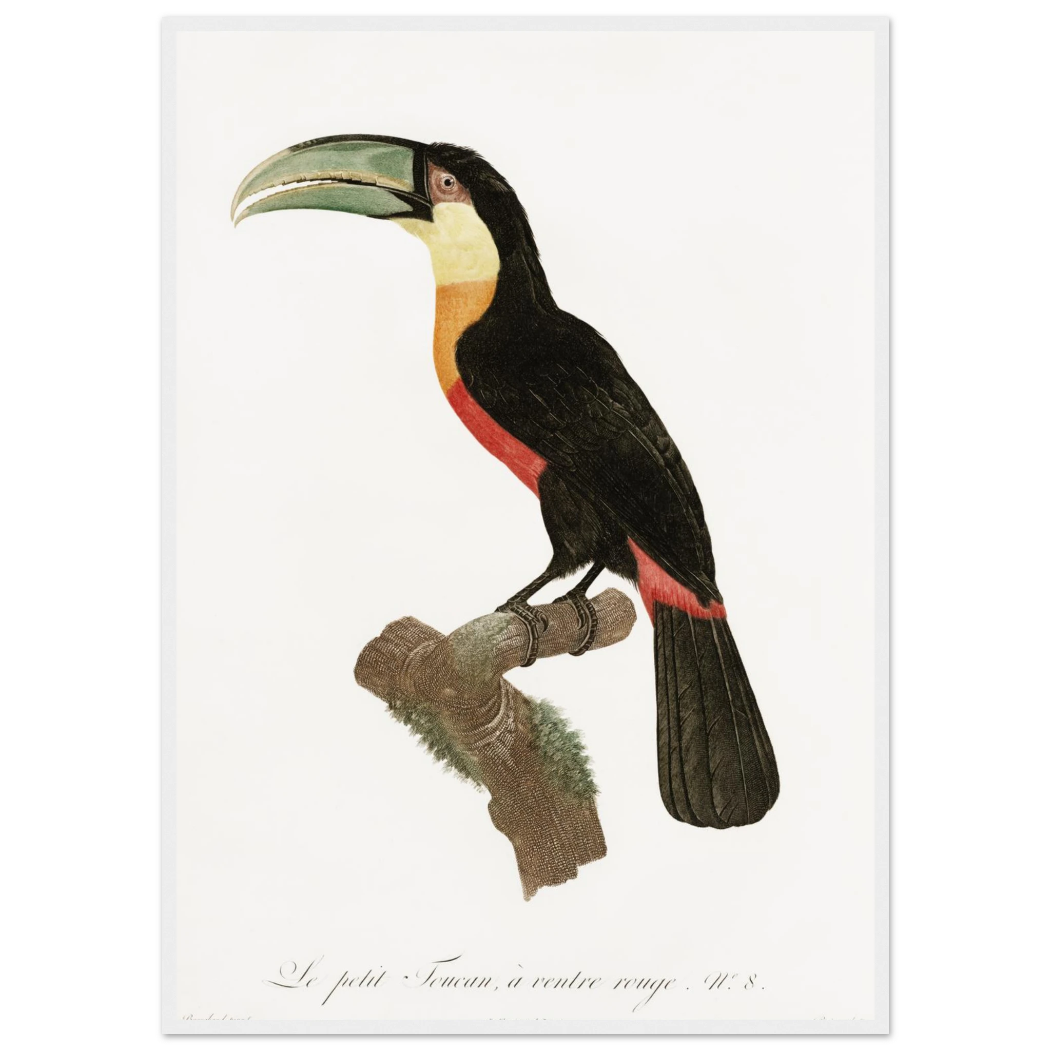 51e454c6-1f50-4d6f-9618-d76ff1635c04