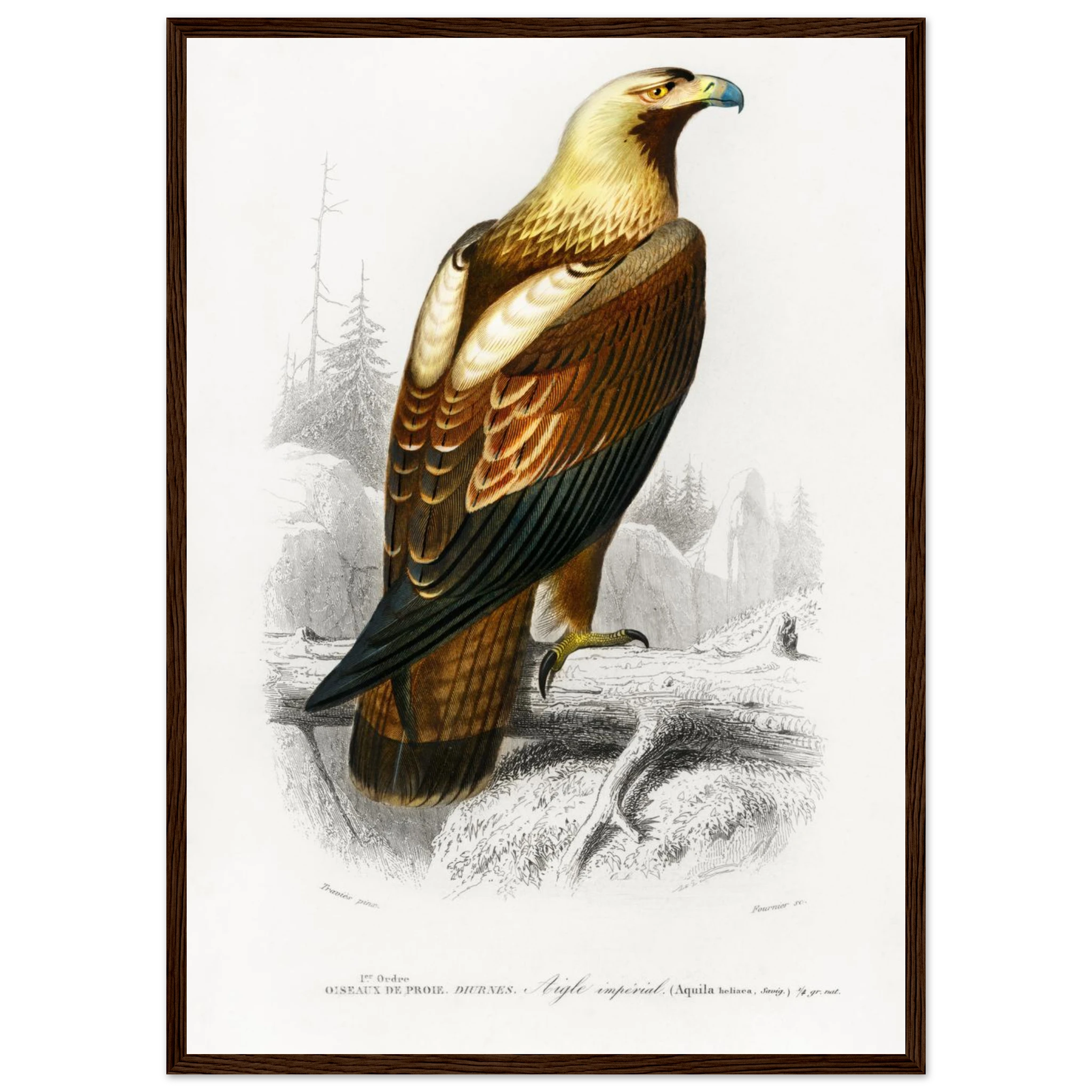 51f64412-3403-42c6-8b19-a5c849fe4d08