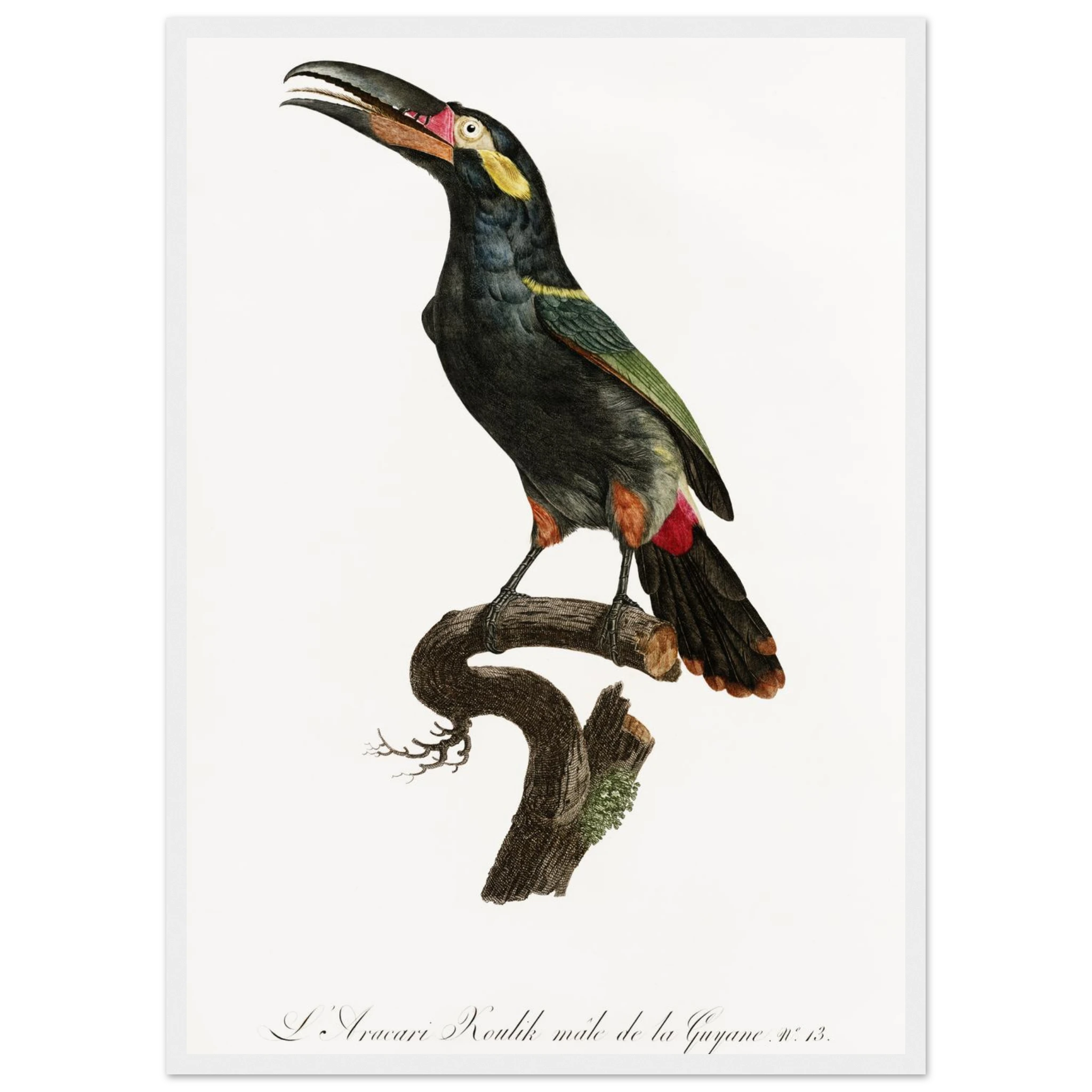 520b06ac-b75f-45bd-871a-4fb7b1dabc0b