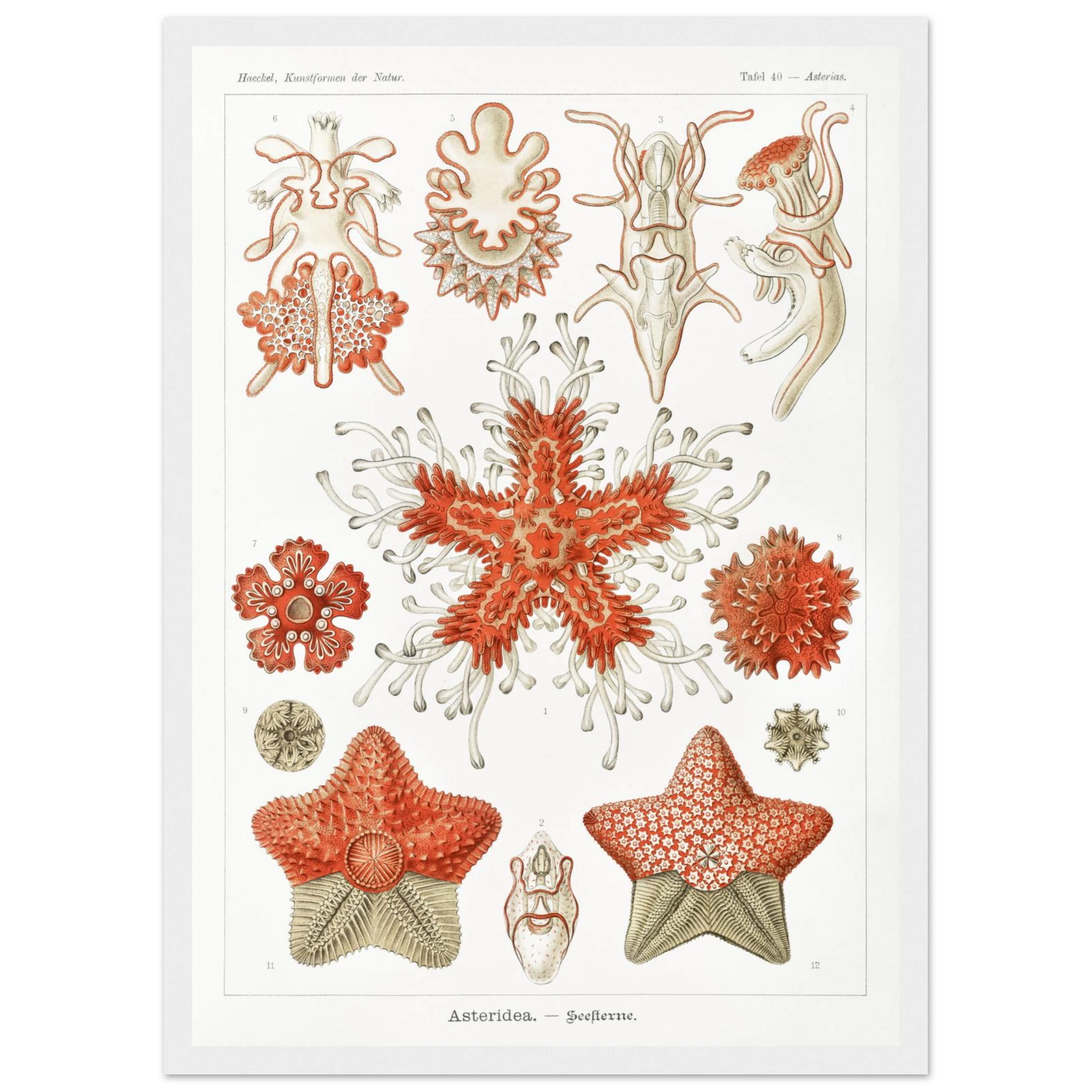 52212483-9891-4725-96e9-2351f6168025