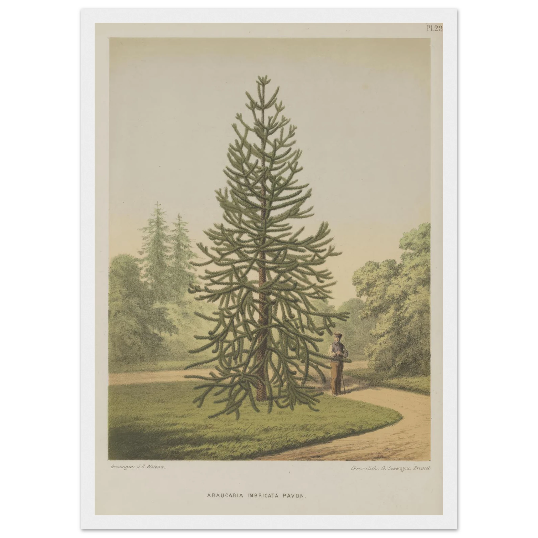 5226d01d-02fa-4f12-8967-b0f1cf2737c9