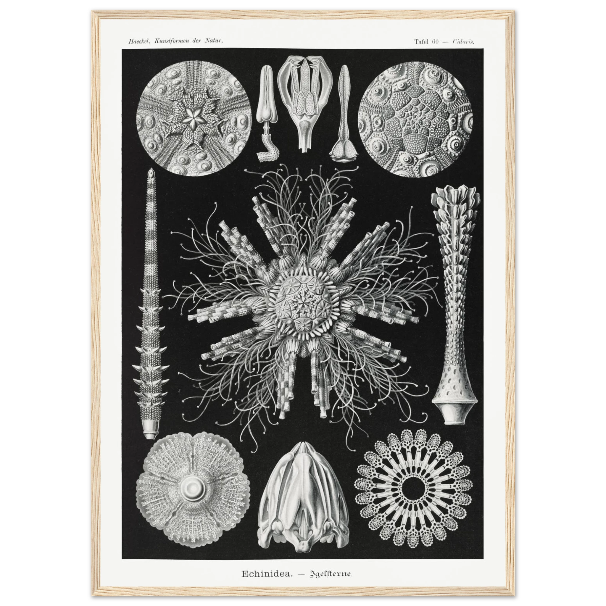 5237deed-aa76-4c6a-b880-89692425c0f8