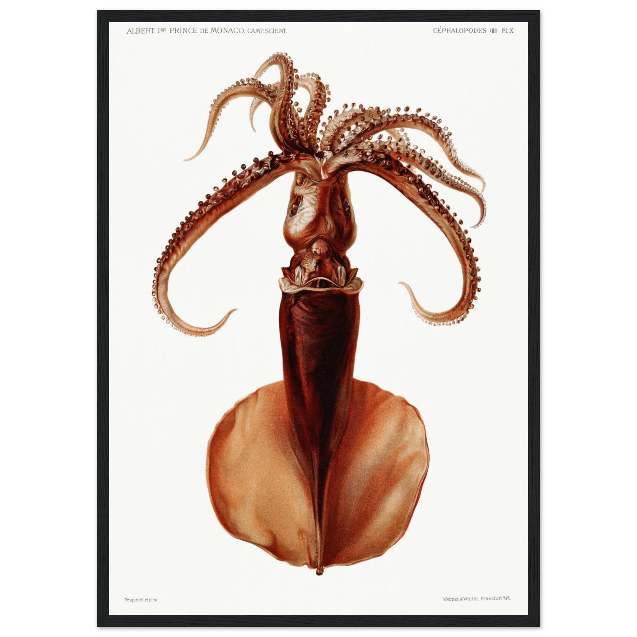 5243cbb9-d1a7-47b0-8060-15db307f7365