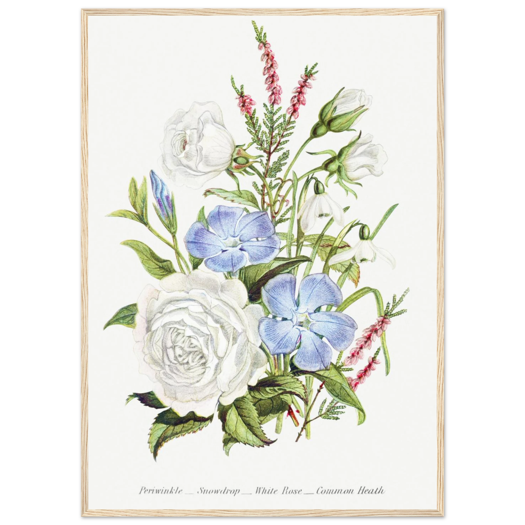 526cff7d-4d5b-4e53-a837-aaca61db4d8d