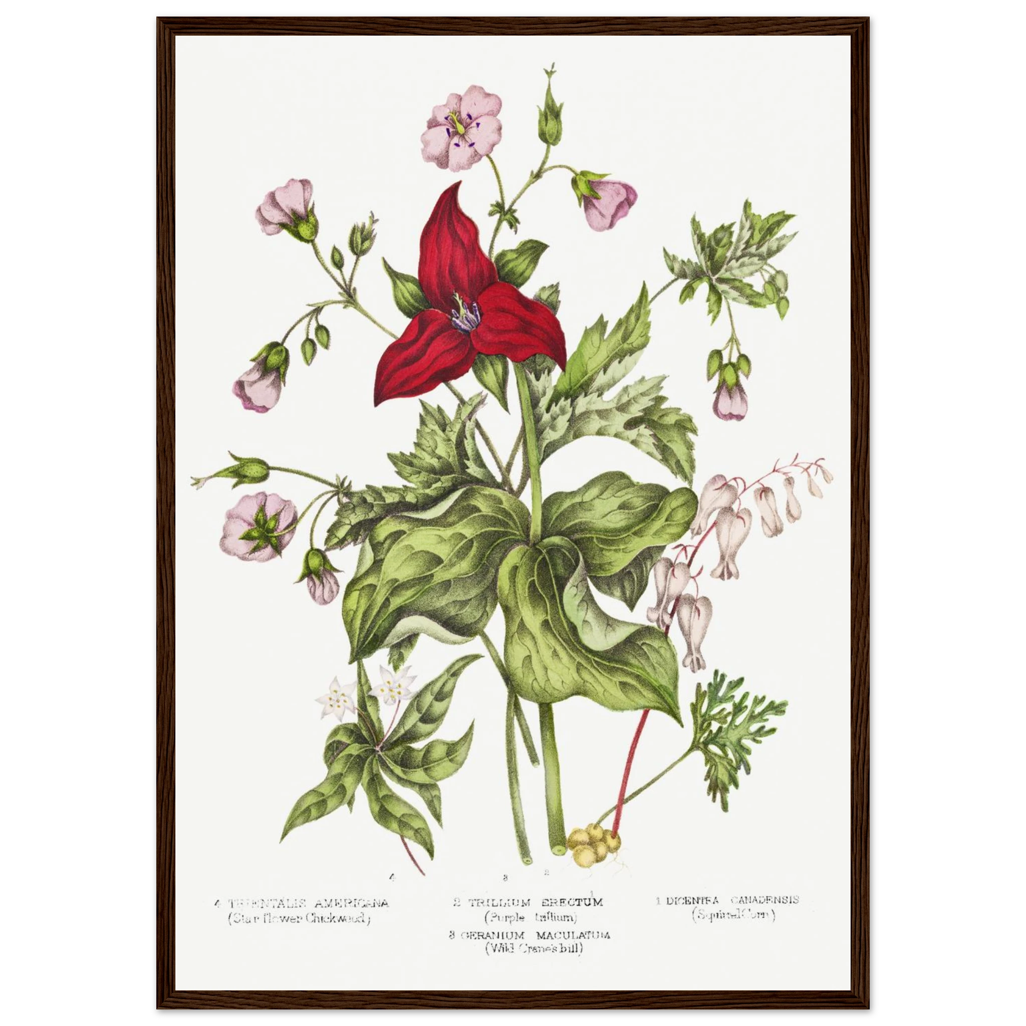 5279232e-e2b4-4ff7-a269-d2df96ad2a51