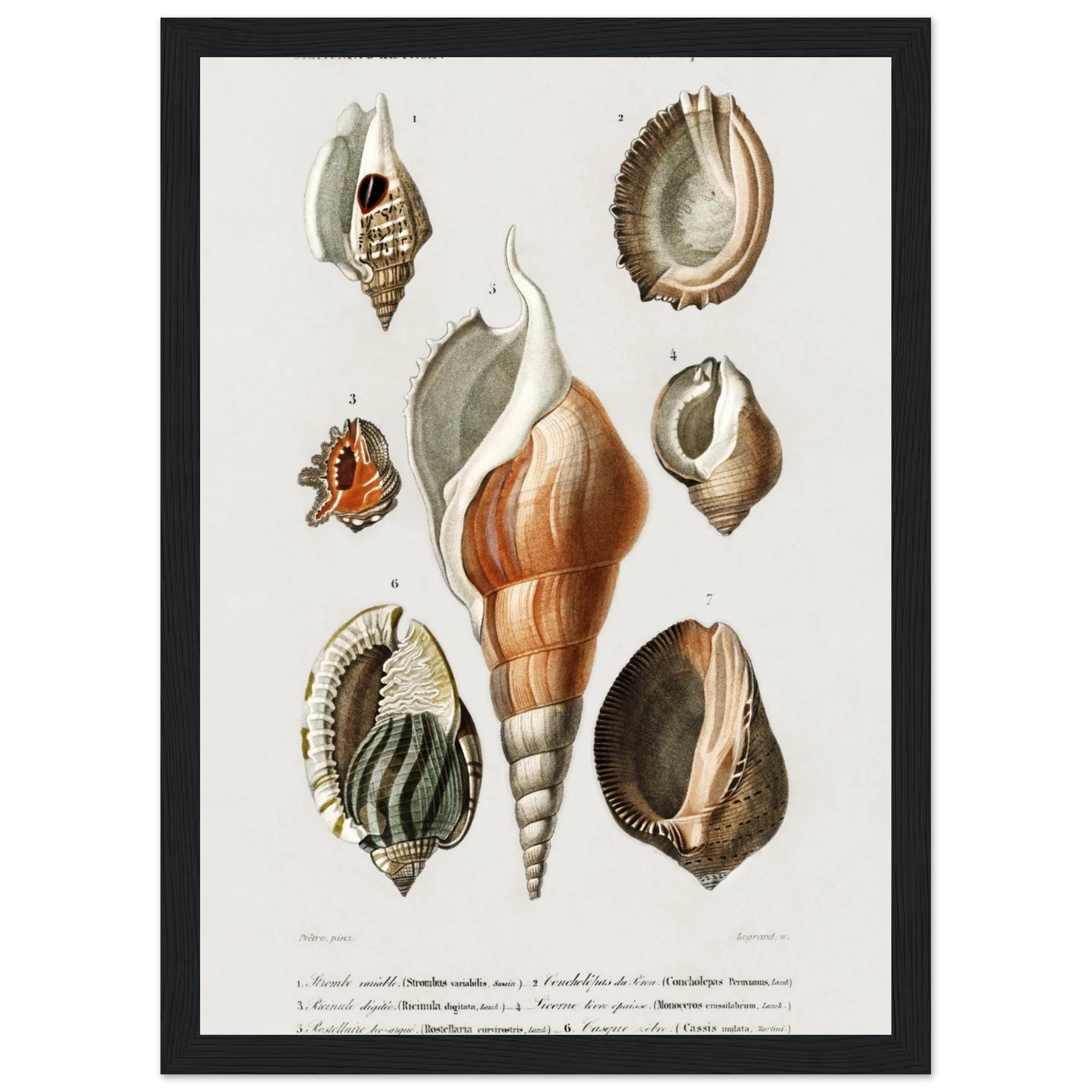 52b71850-e6e0-412d-ae9c-ee7c4d27e5f2