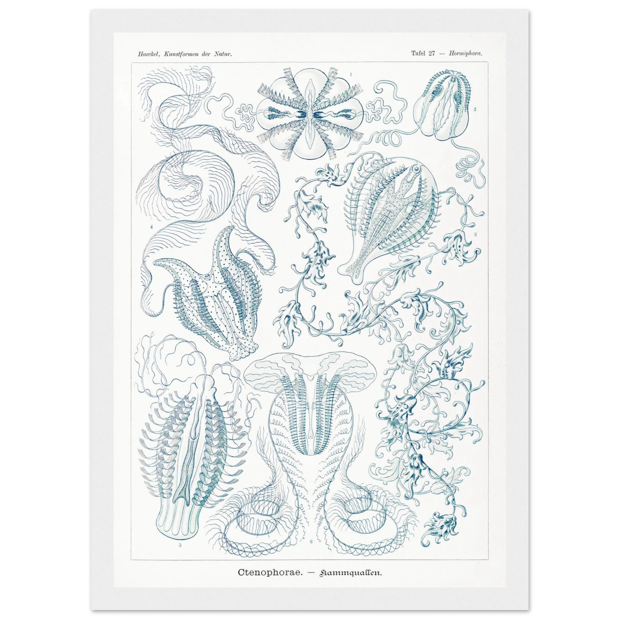 52cc5598-ce17-4cf8-91a4-b2b81c2e9d79