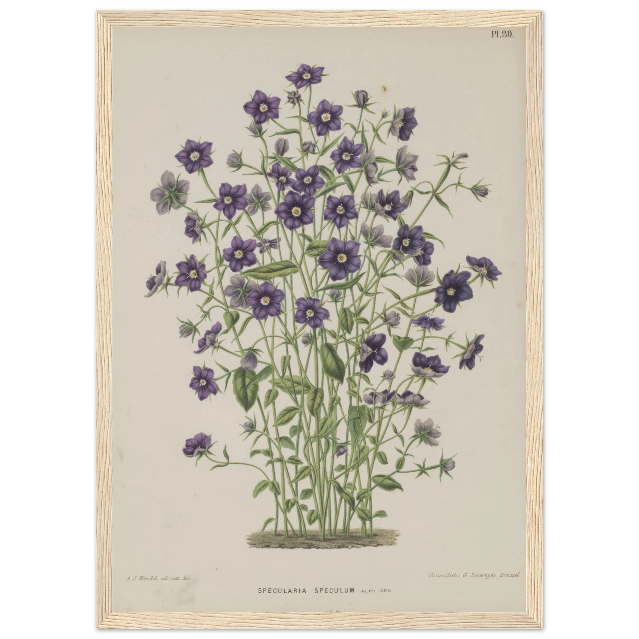 52cdc907-62a6-4ba9-a564-ba843bd28780