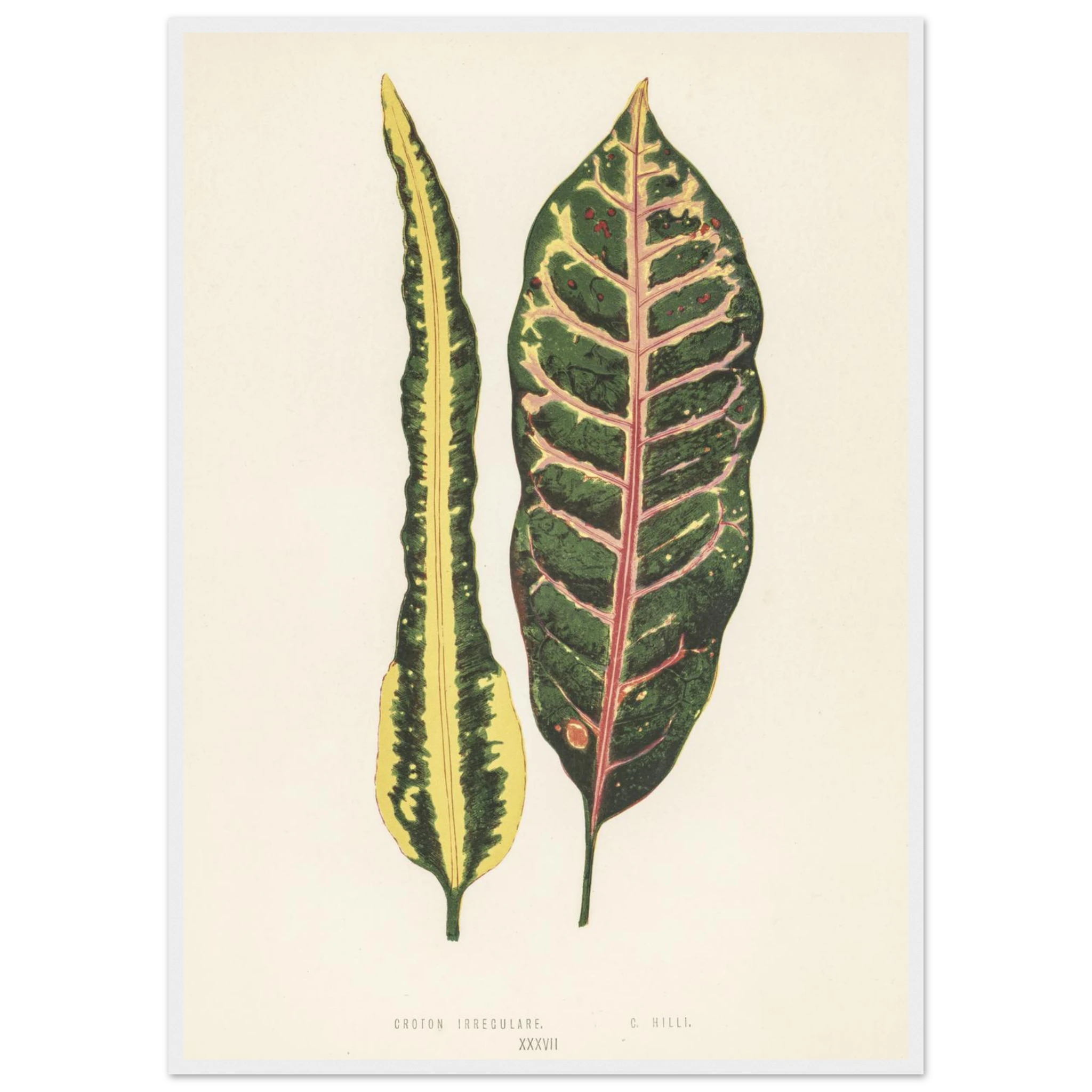 5301a286-2e1d-499b-9953-fed57ba008f9