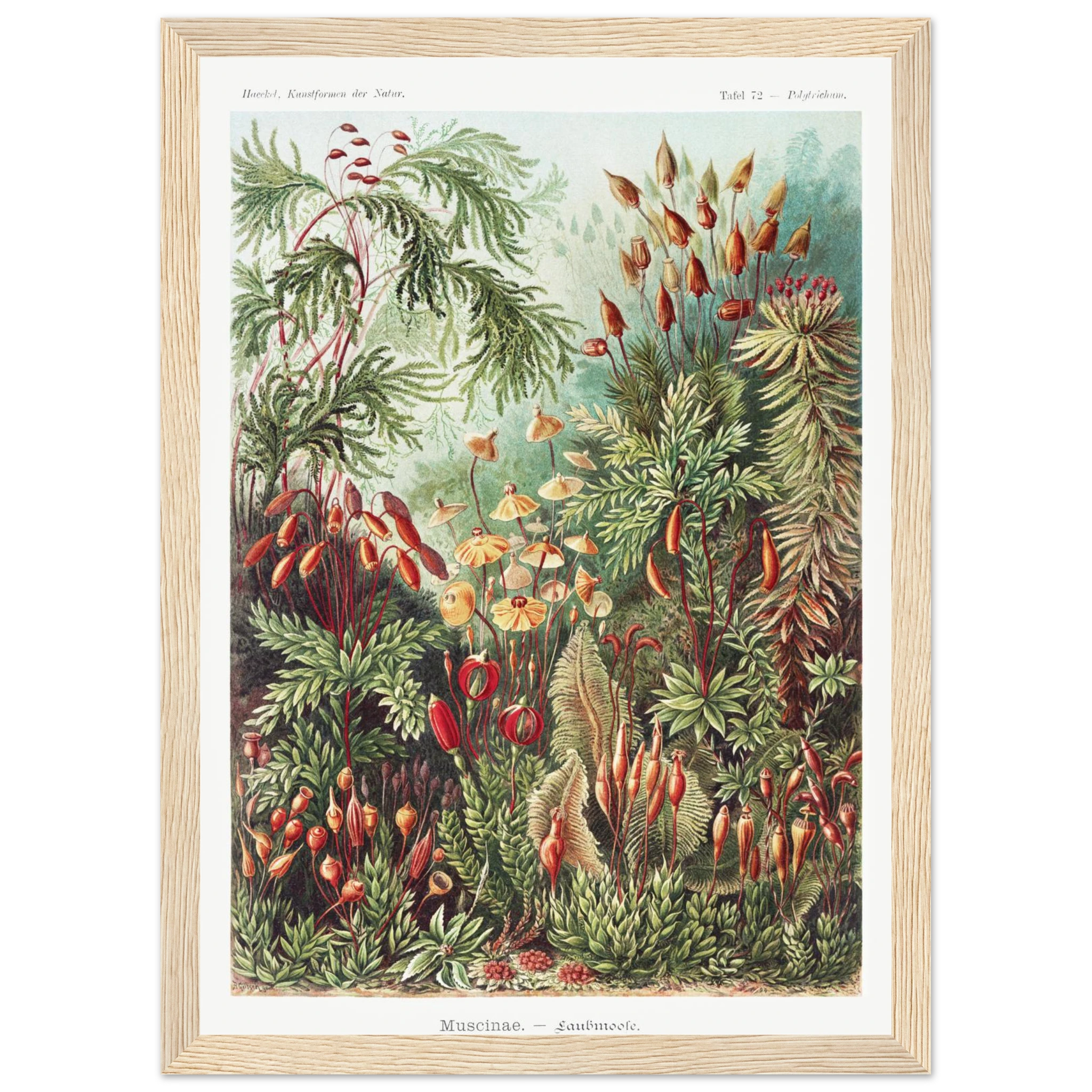 53107f4b-cd19-4784-9e9c-6d819c588623