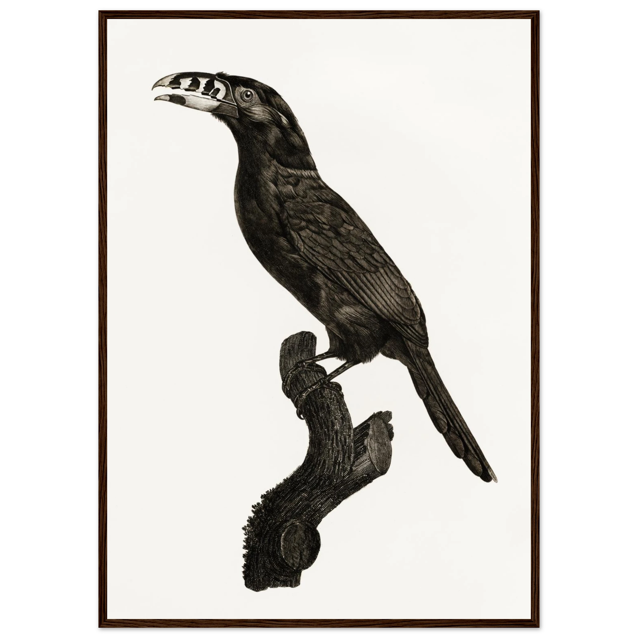 5352f1ee-ce55-4403-ab7b-2a19b634913a