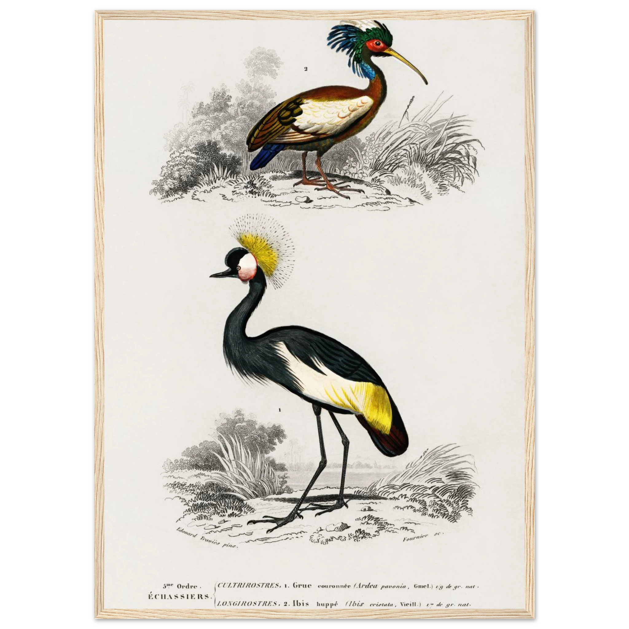 5387b3a0-d1e8-443d-b9d9-f8546f4601a0