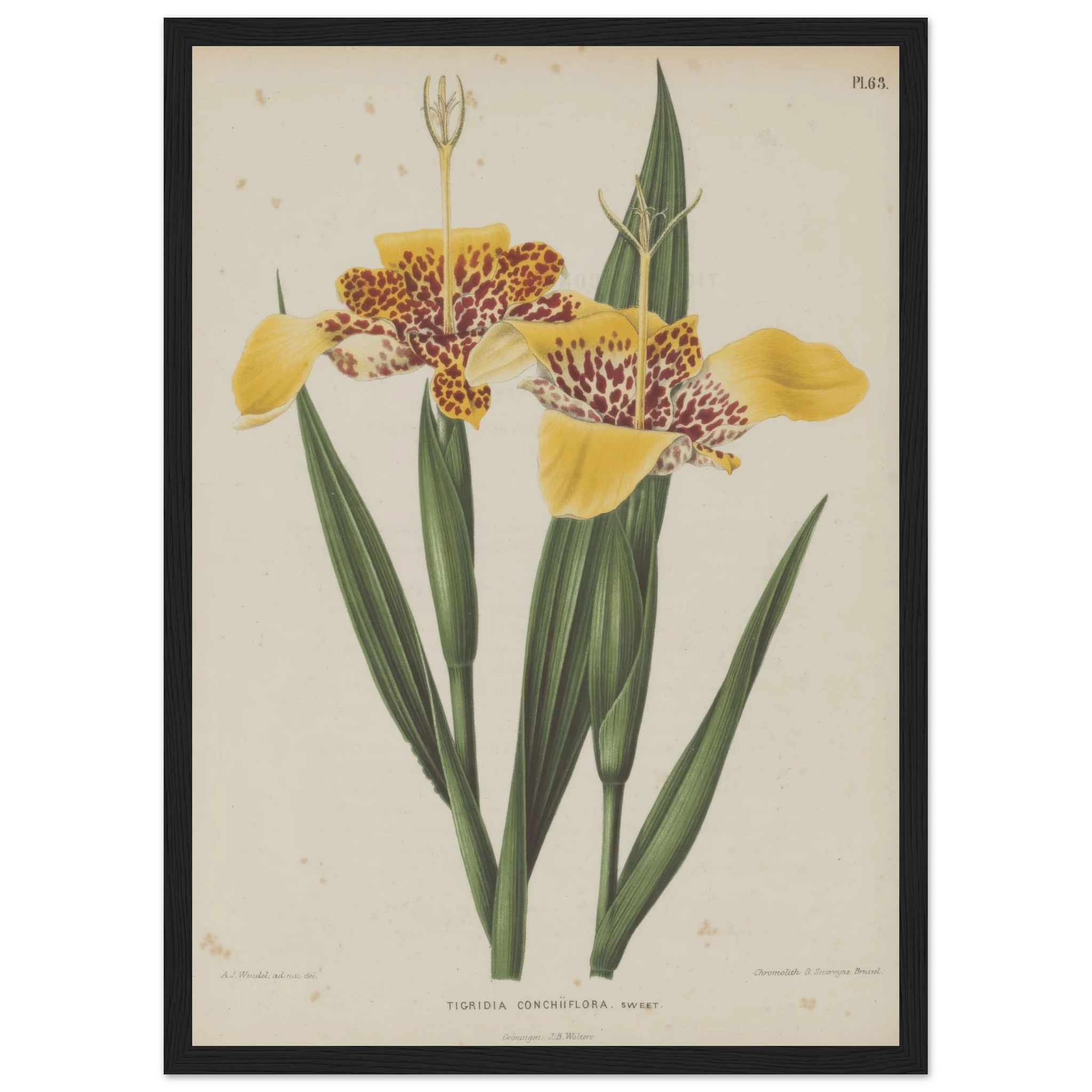 53a6ba2b-9cdf-4de0-ac05-9d94efd02a39