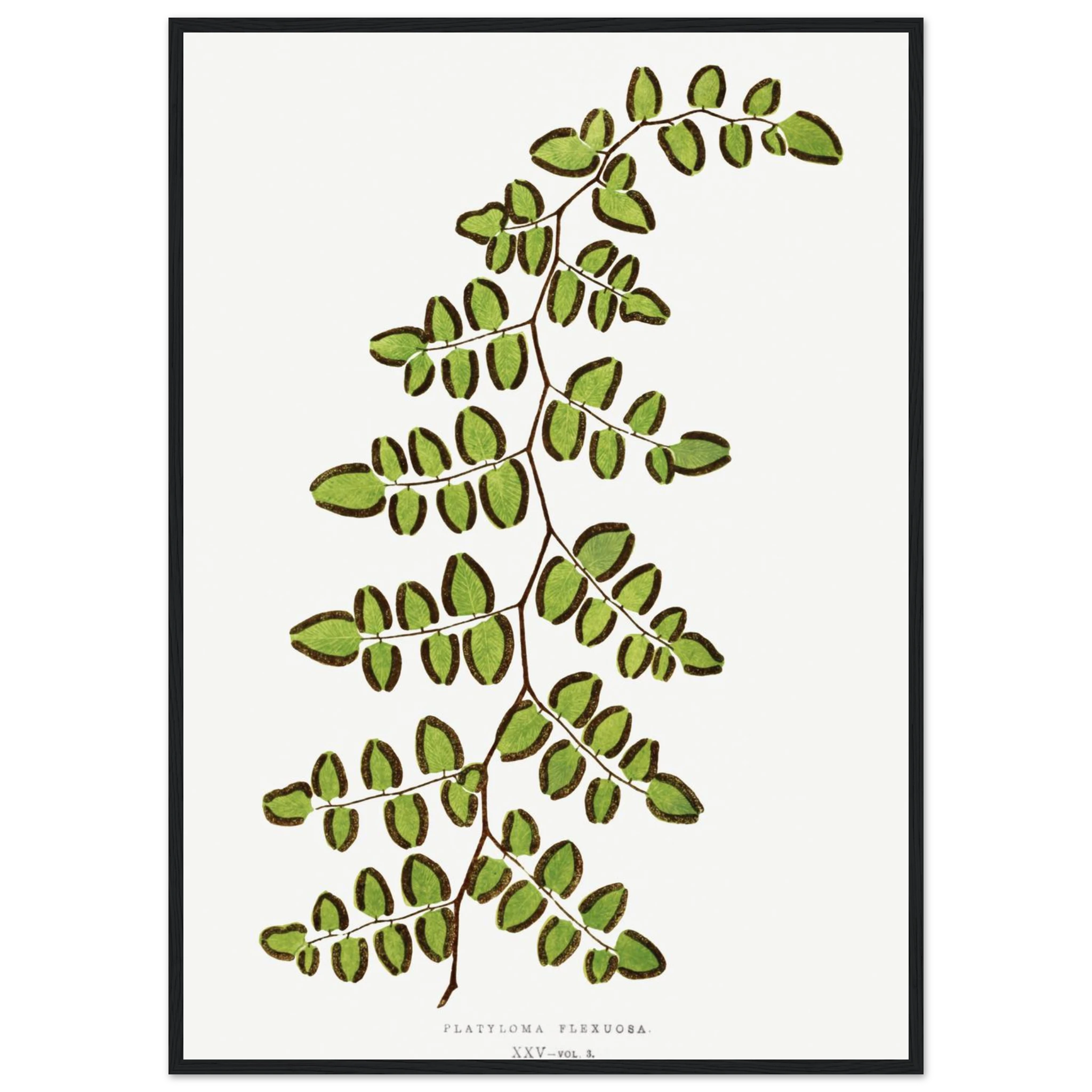 541580eb-f37a-462e-ae08-2b0eb5dcaa16