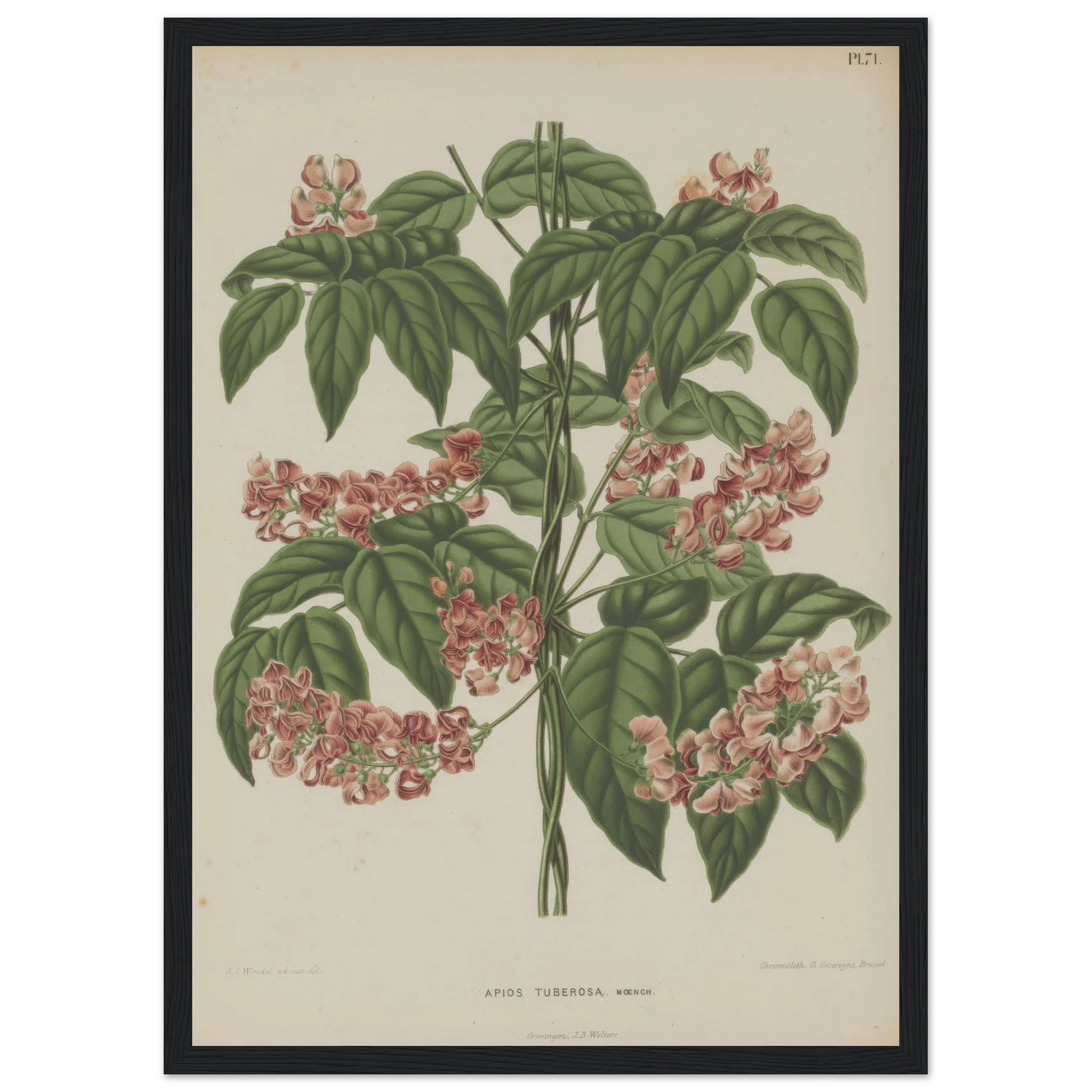 543dbe40-b783-4dd2-ab26-6b04864cad4b