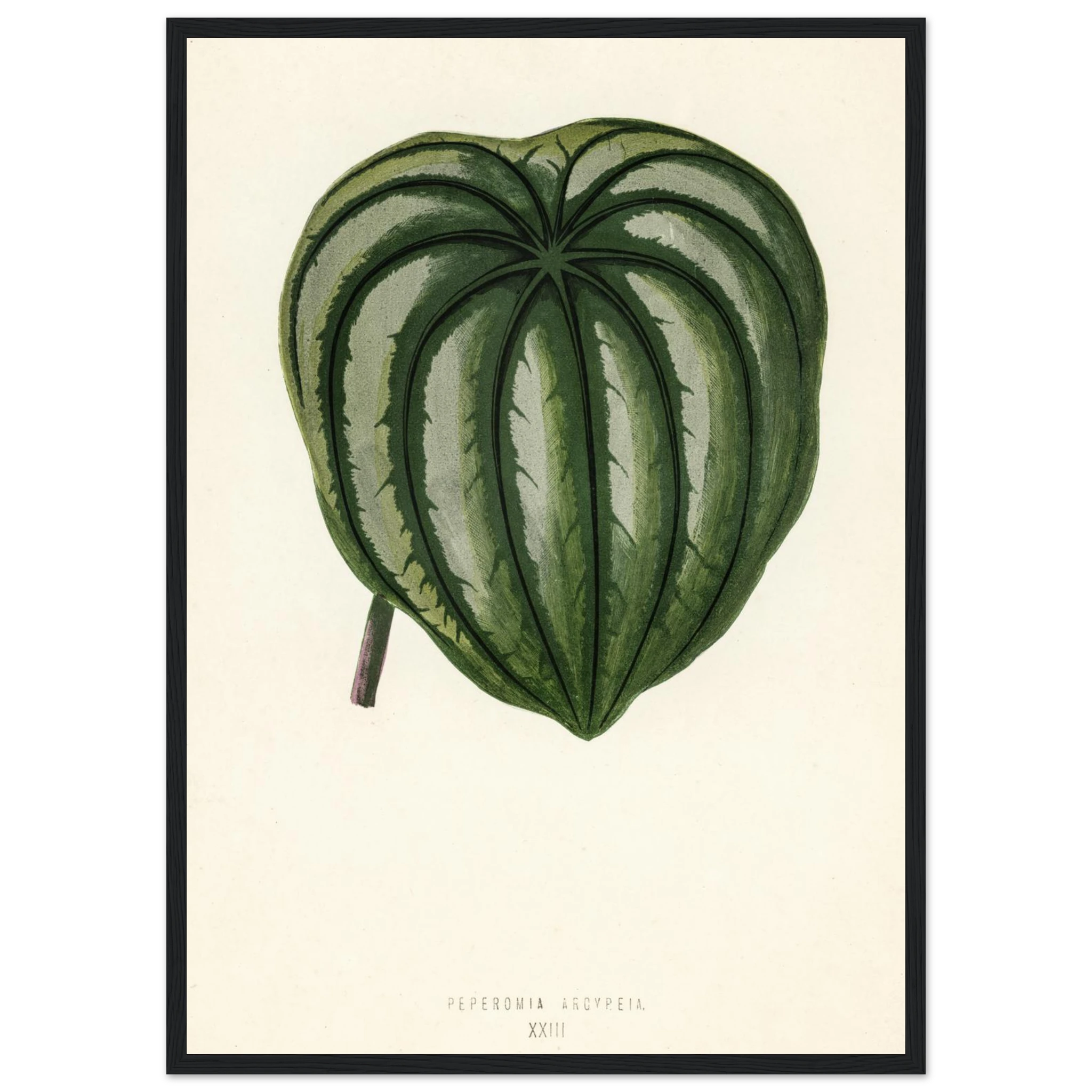 544a01b9-fd53-42cb-81ff-010eb65802e4