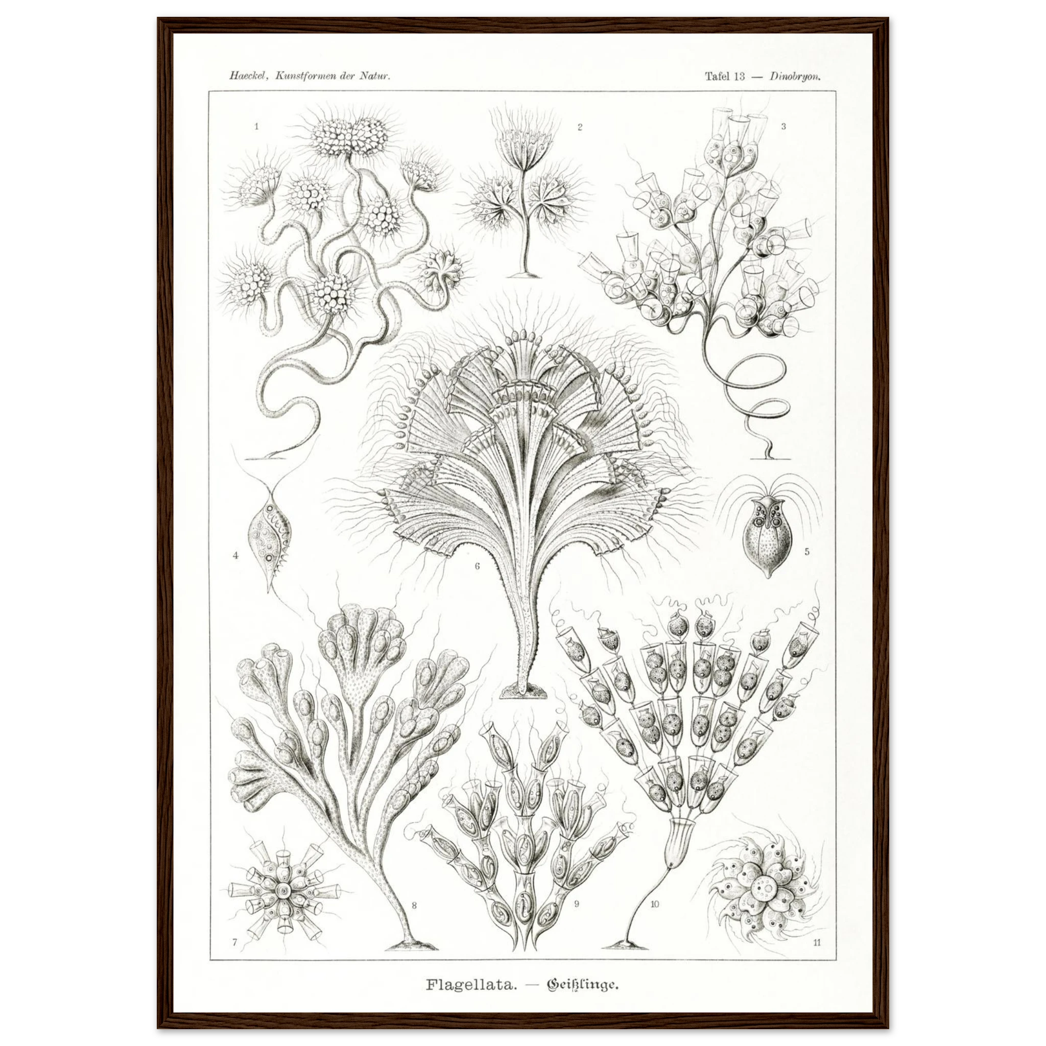 54690a2c-86cb-45d4-a056-353c3fb57467