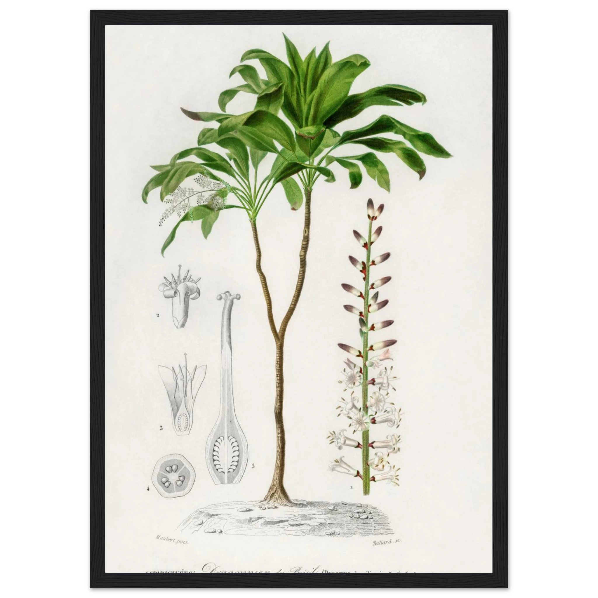 54a020d3-f688-4105-b4d1-c0706bfd0374