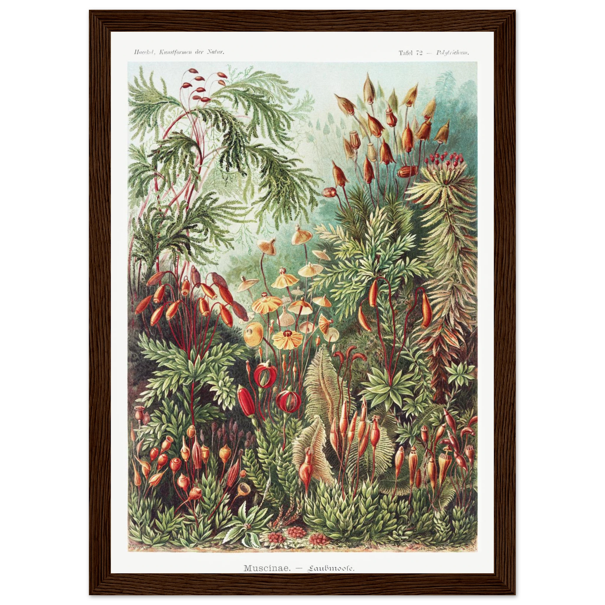 54b16b53-ee35-4340-8602-009e4d48de71