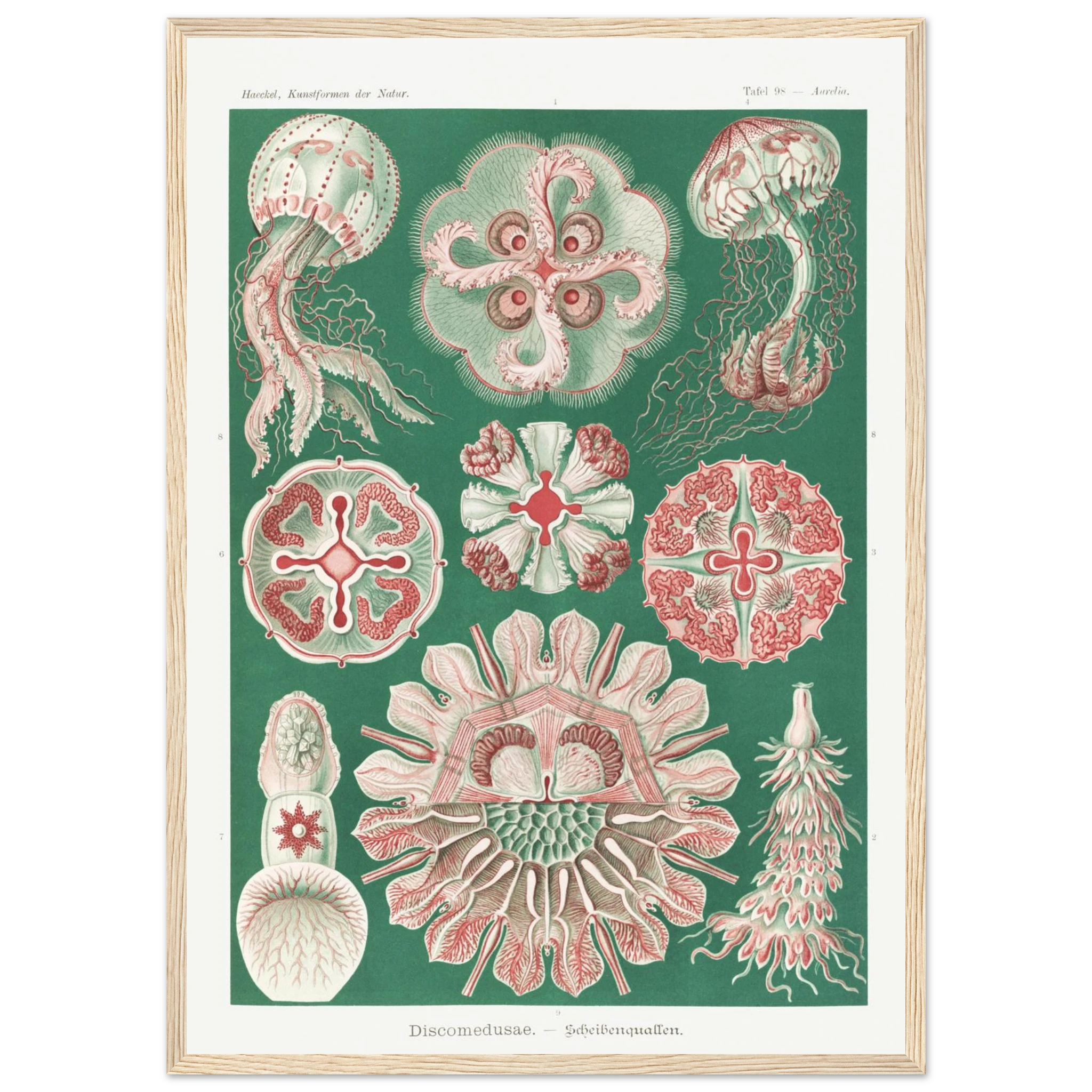 54b9e7f5-5939-4fbe-8ebc-71f3798245d8