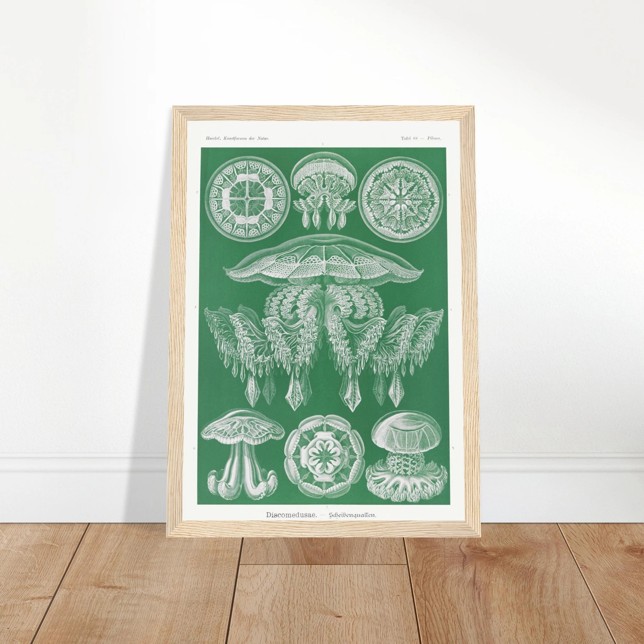 54dc9794-a1fc-4765-bffe-bcad8027d446