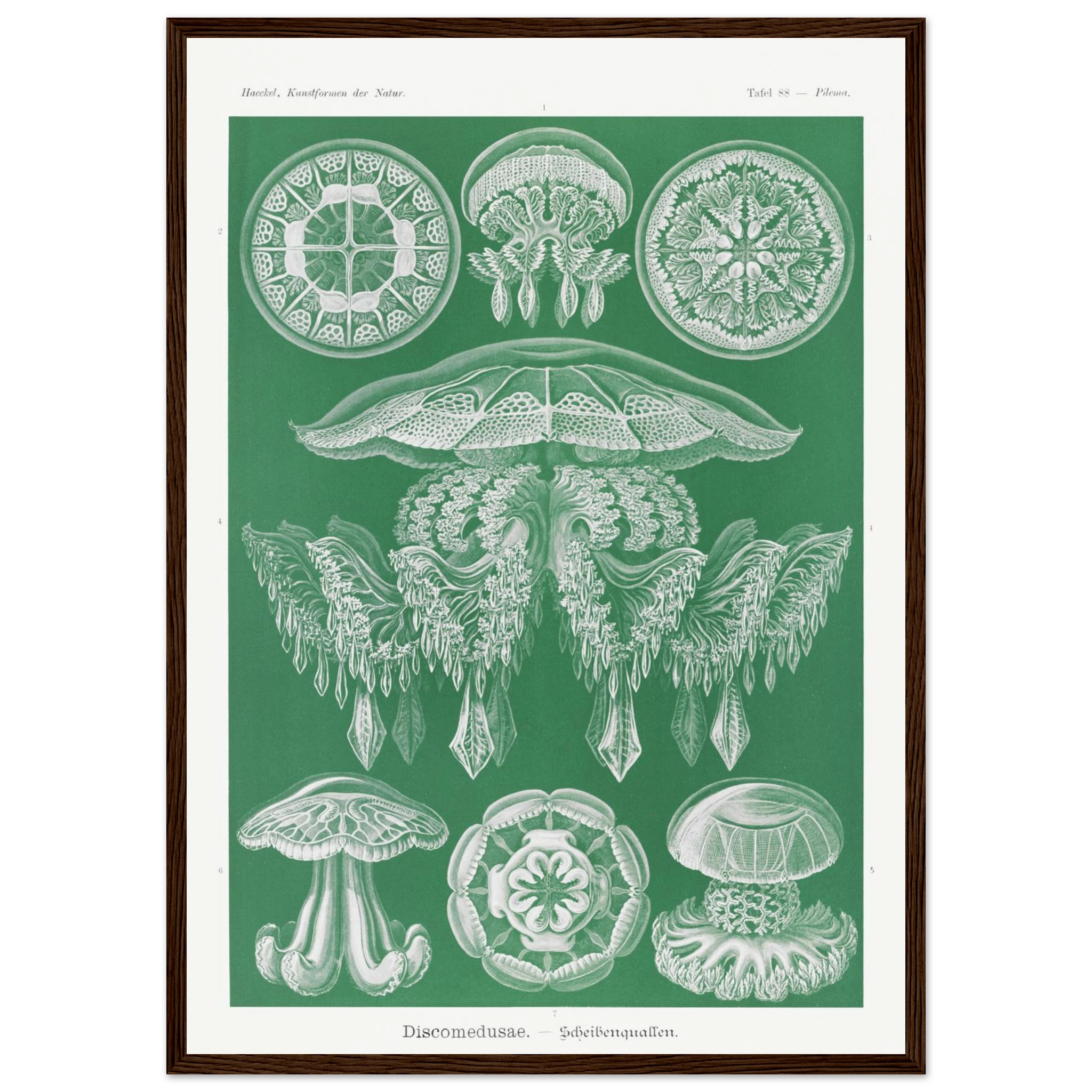 5522f56b-e81f-4efe-8a0f-123db80ee483