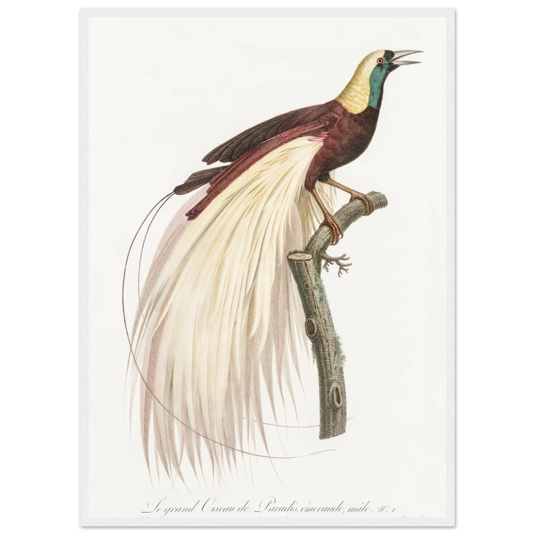 552db8cb-8da9-42ae-8a99-b34f1aed255e