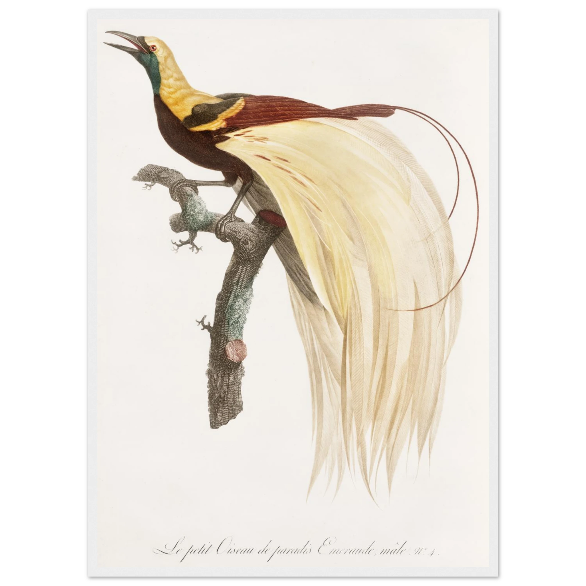 5537f014-4cd1-40a5-9bba-7e0406a219b6