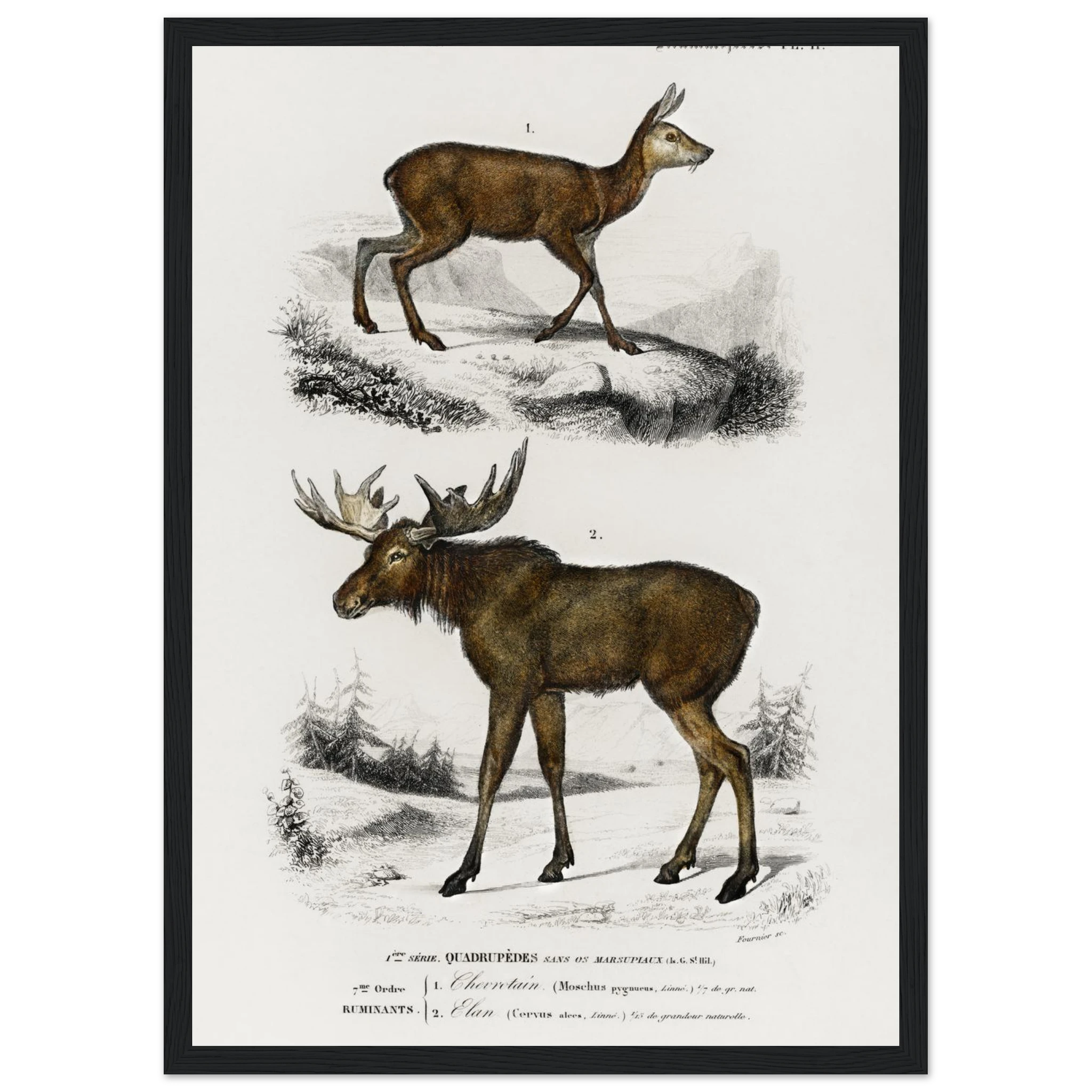 555190a8-a157-453d-bc81-e60b3728e98d