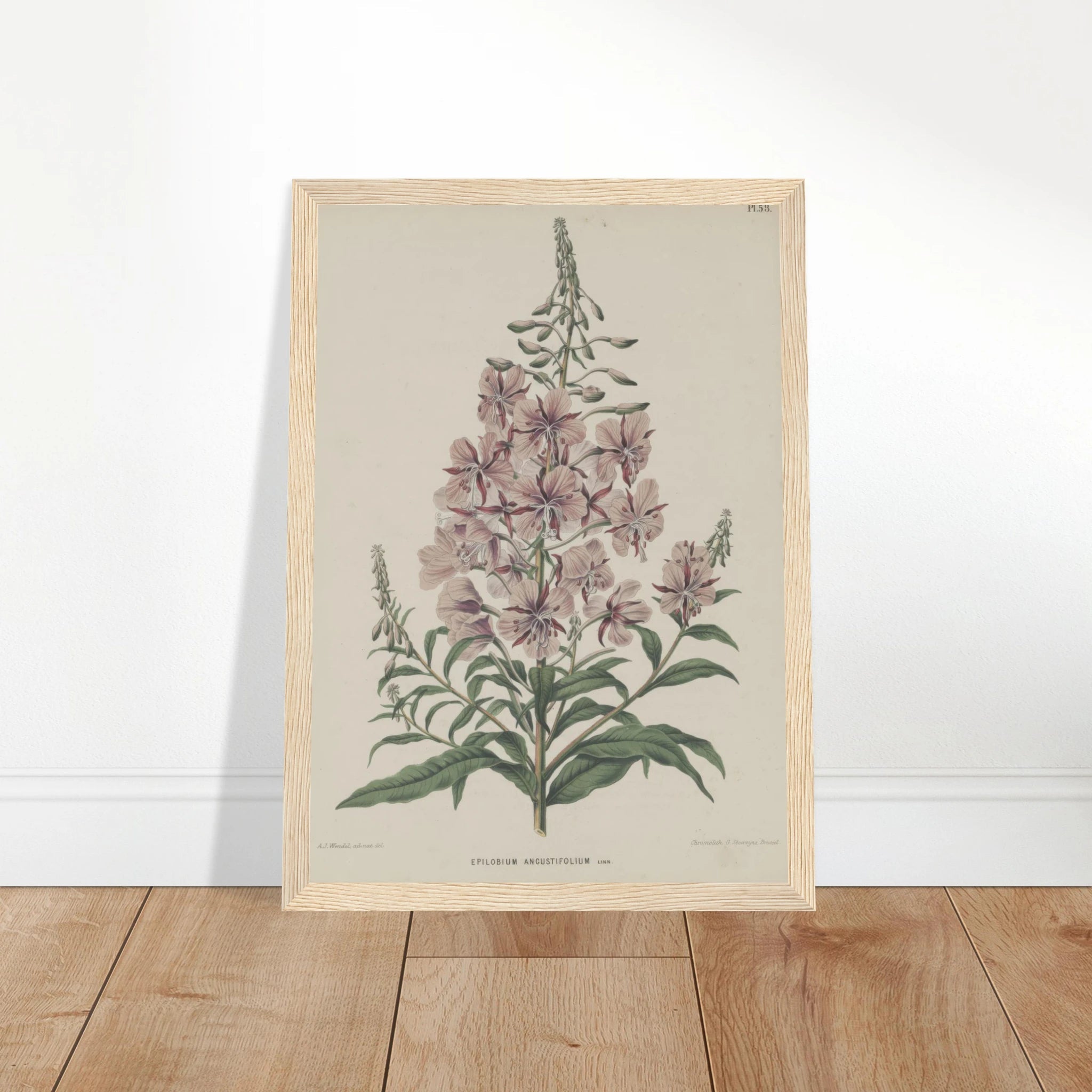 557335d8-7f65-4138-aae7-b36d8ba6eacc