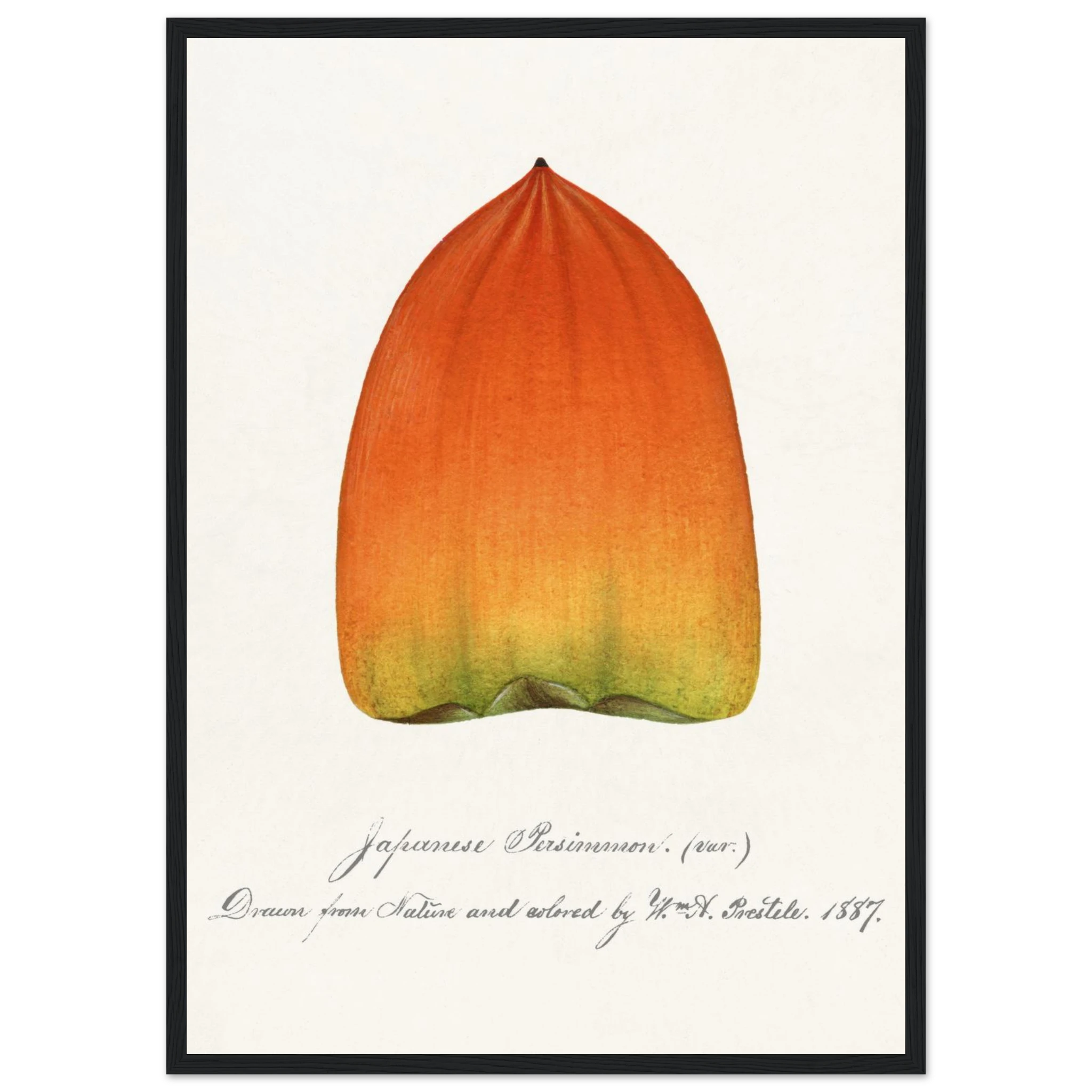 55b0c805-f76a-4a17-b81d-eb1d1cf49a77