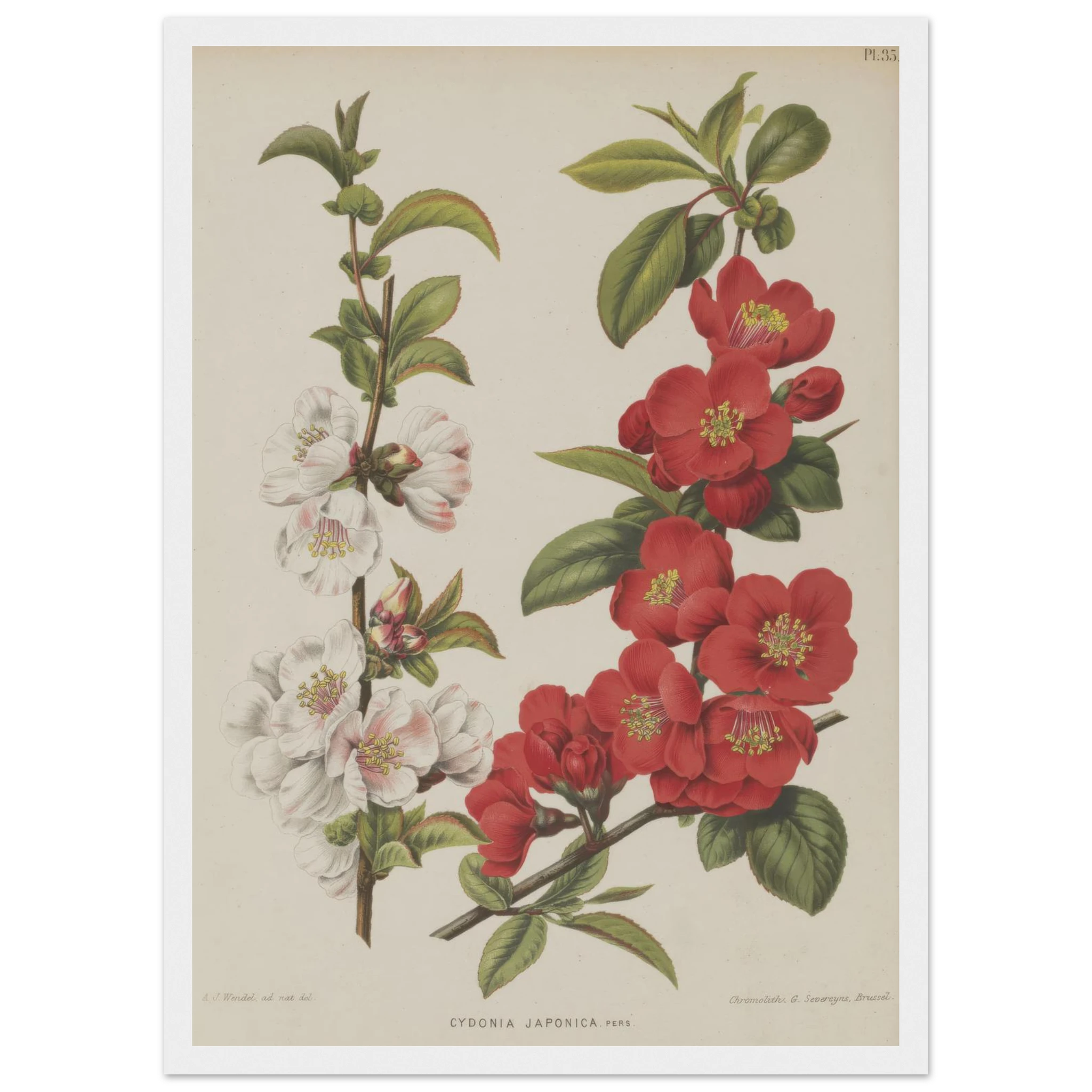 55ba5a71-3b9a-46e8-8083-c99c031c9ab9