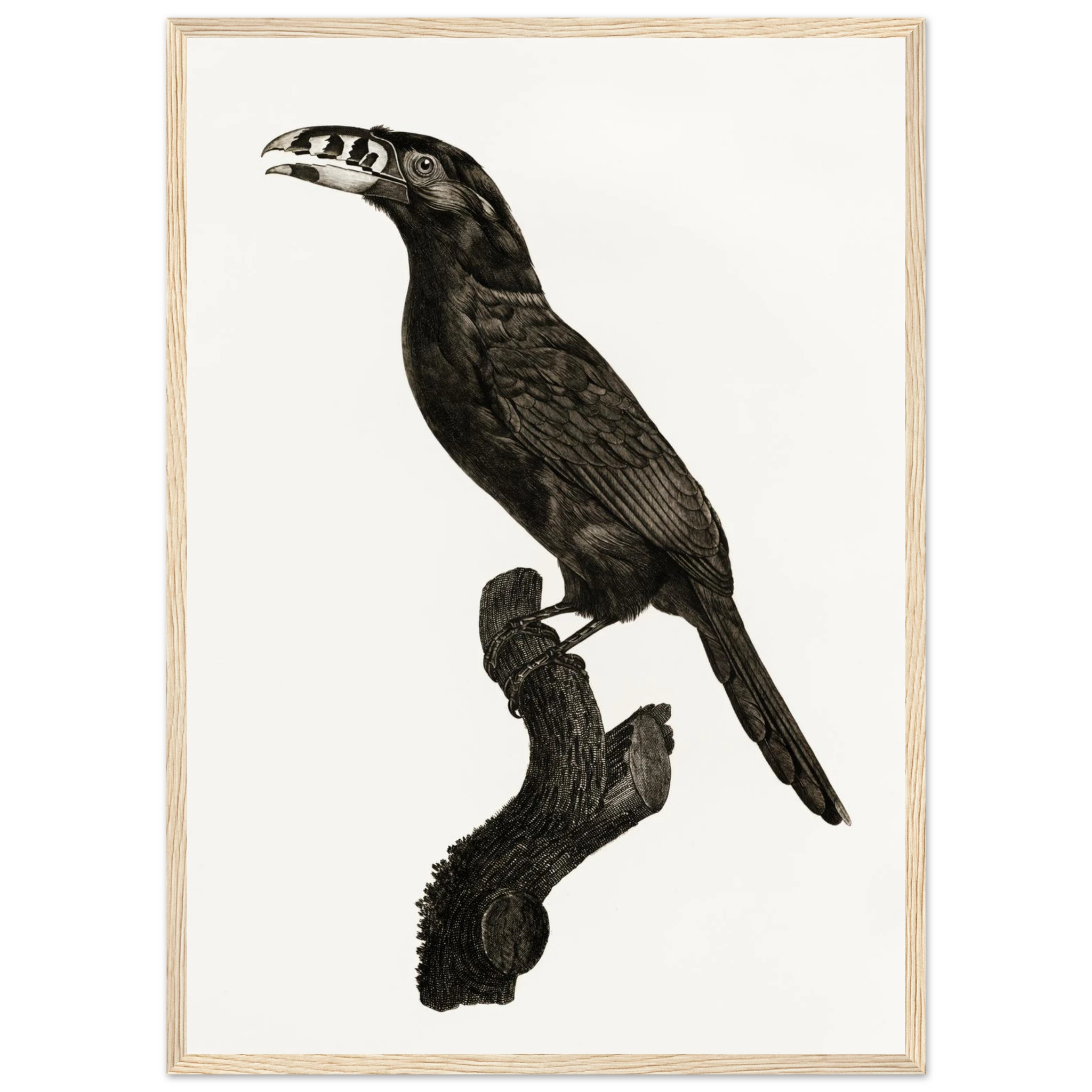 55e00e98-57ca-48f7-92e5-9b4ab8b33359