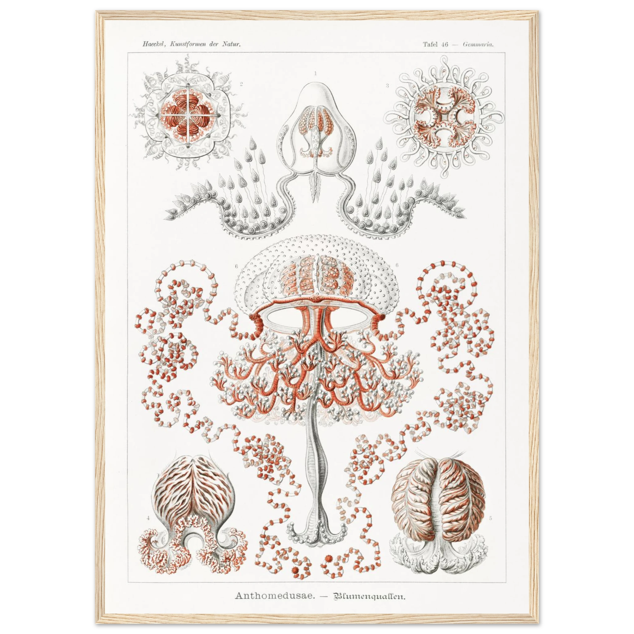 55f44373-bbbf-4a98-b20a-e28ae7242c62